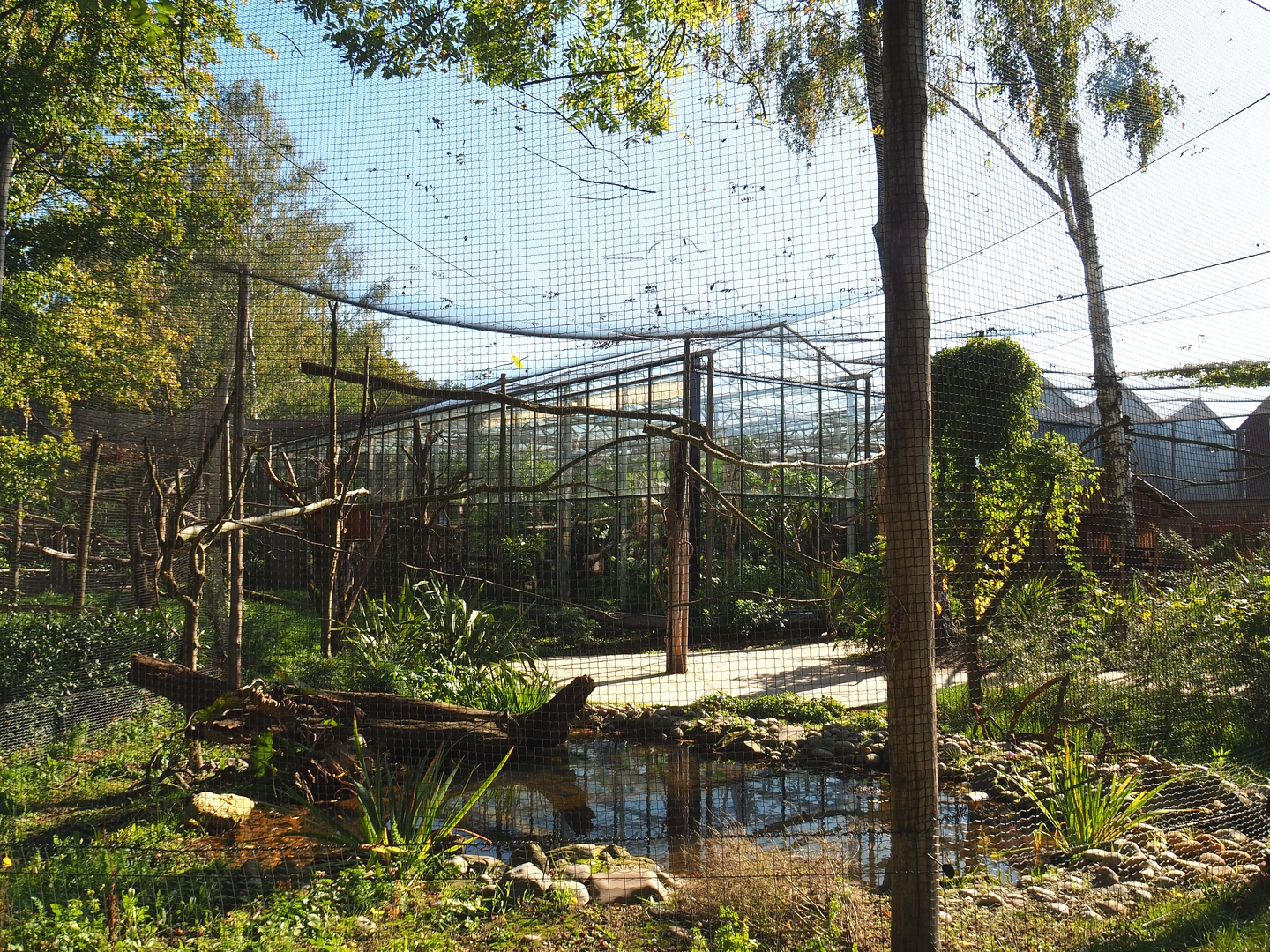 Linnaeus' two-toed sloth, Golden lion tamarin and White-faced saki walk-through exhibit, 2022-10-09