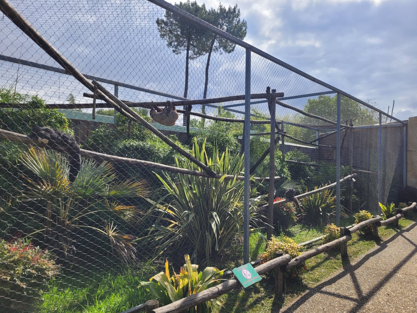 Linnaeus’ two-toed sloth, Lowland paca and White-faced saki exhibit -Zoo du bassin d'Arcachon (2024)