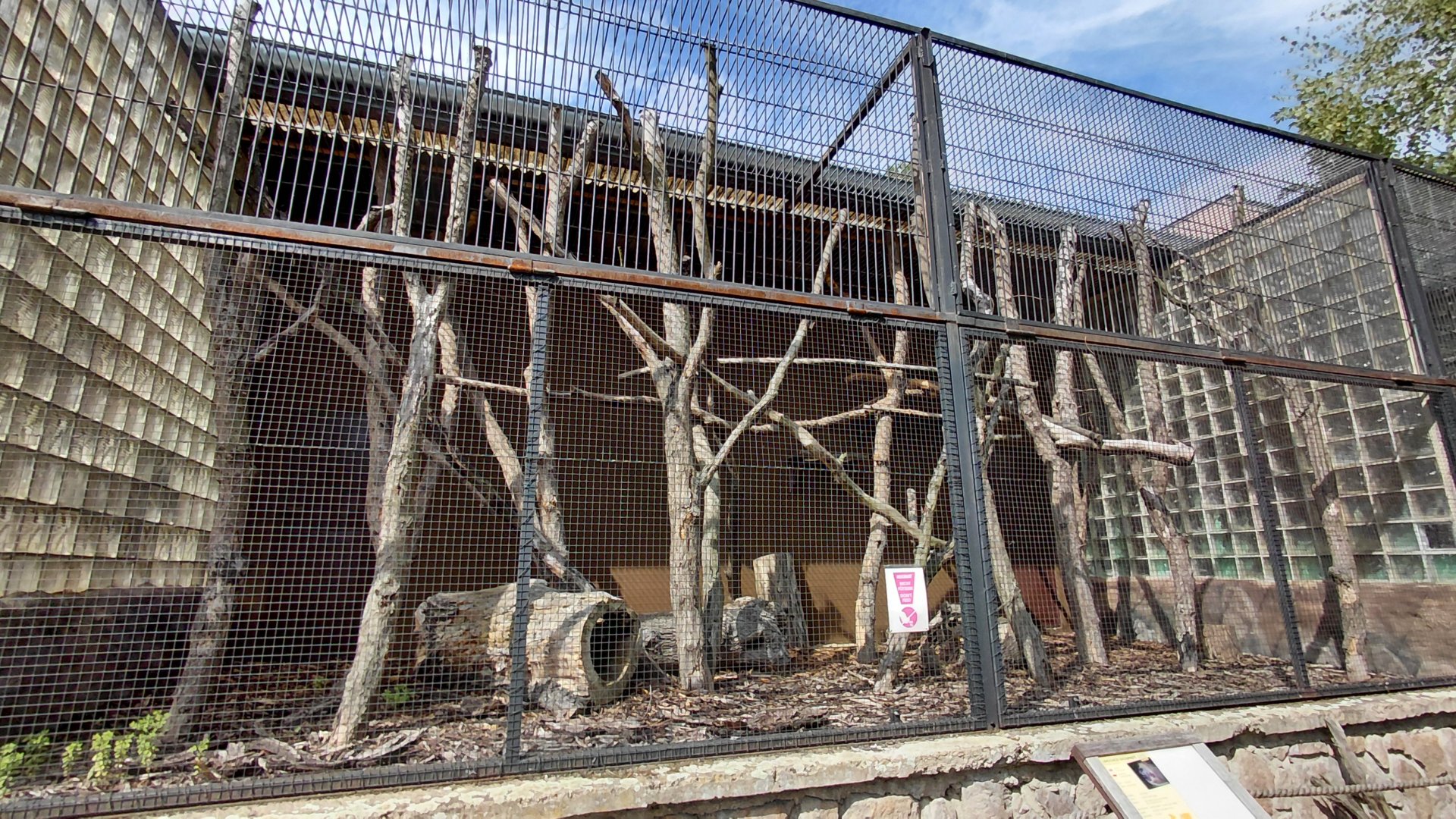 Linnaeus's two-toed sloth outdoor exhibit