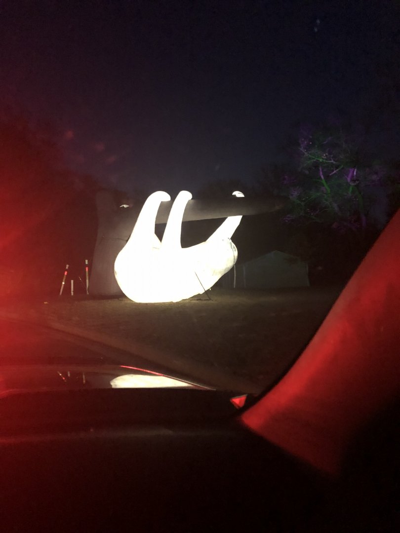 Linne's Two-Toed sloth Blow-up- Minnesota zoo Drive-through event.