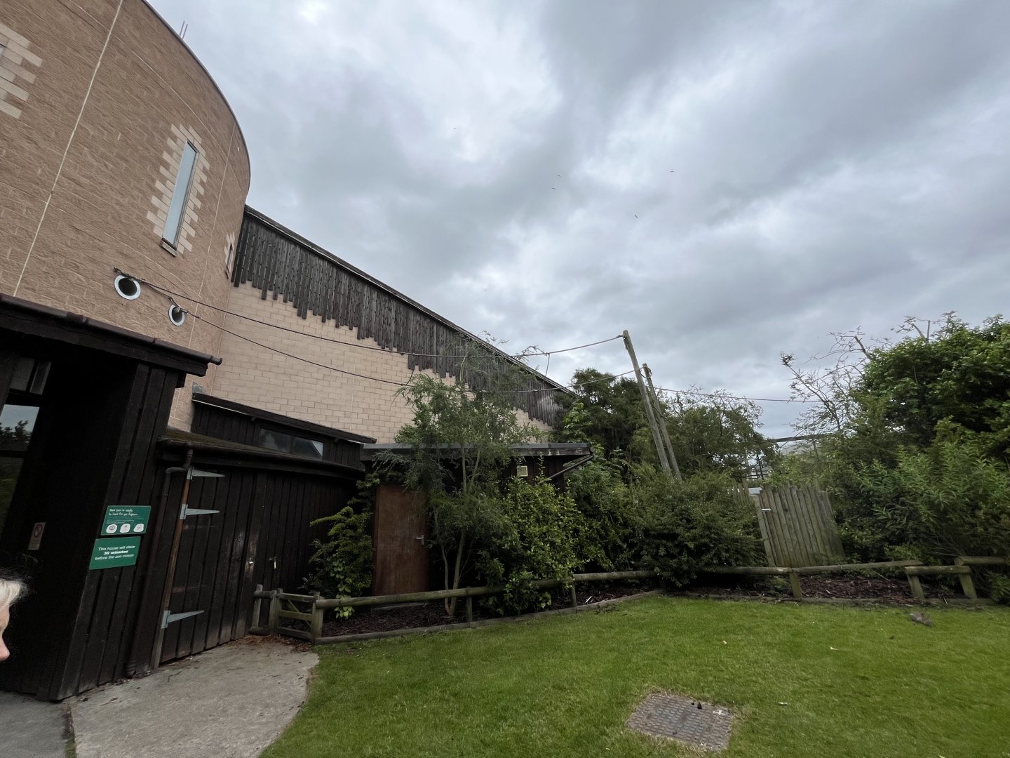 Linne’s two-toed sloth enclosure 29.6.24