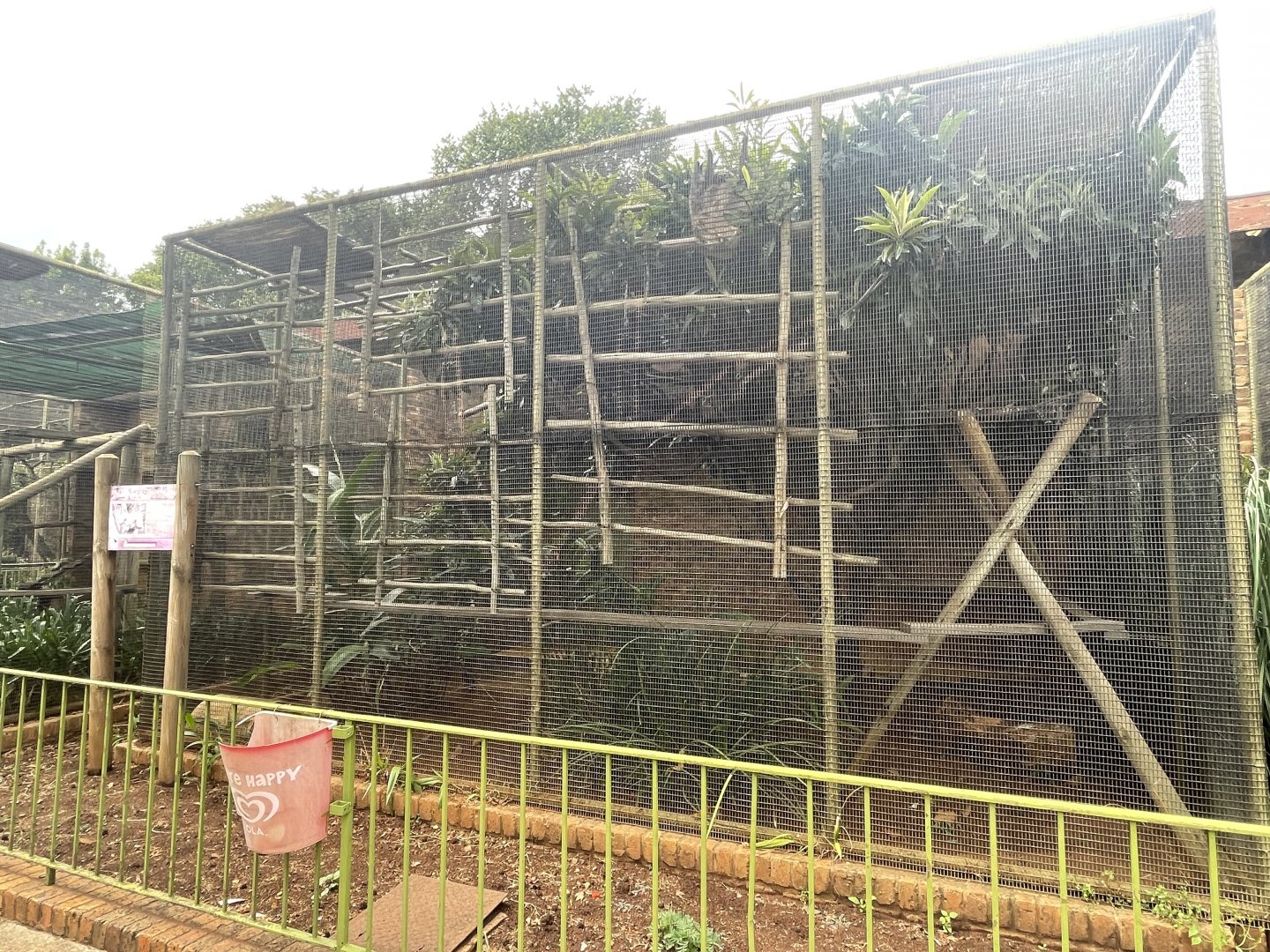 Linne's Two-toed Sloth Exhibit (Choloepus didactylus)