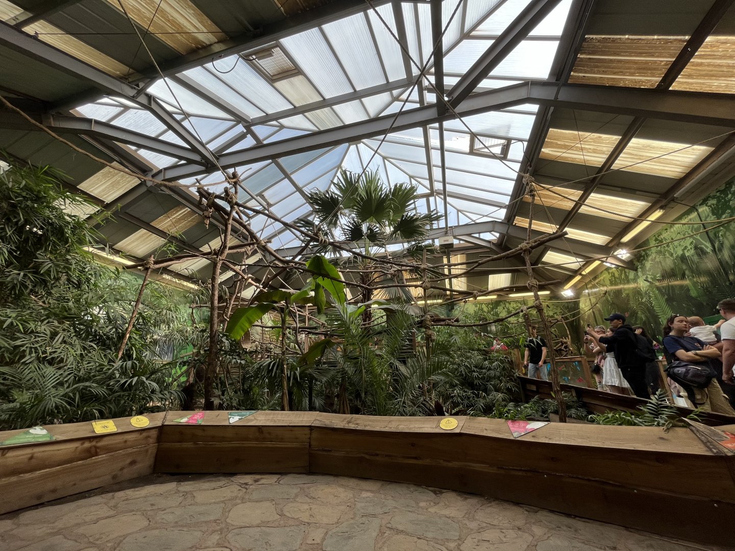 Linne’s two toed sloth house 9.9.23