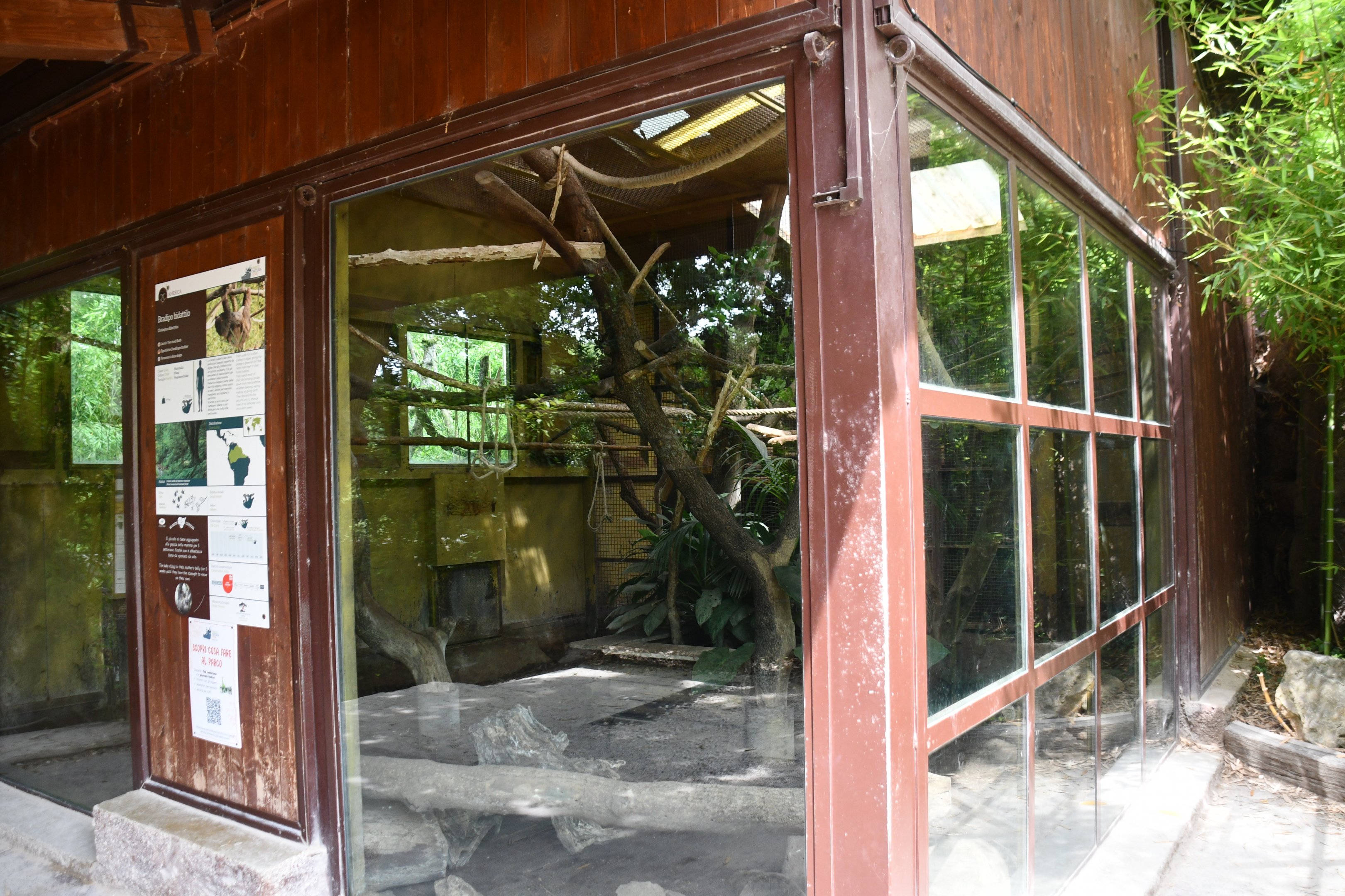 Linne's Two-toed Sloth/Large Hairy Armadillo exhibit