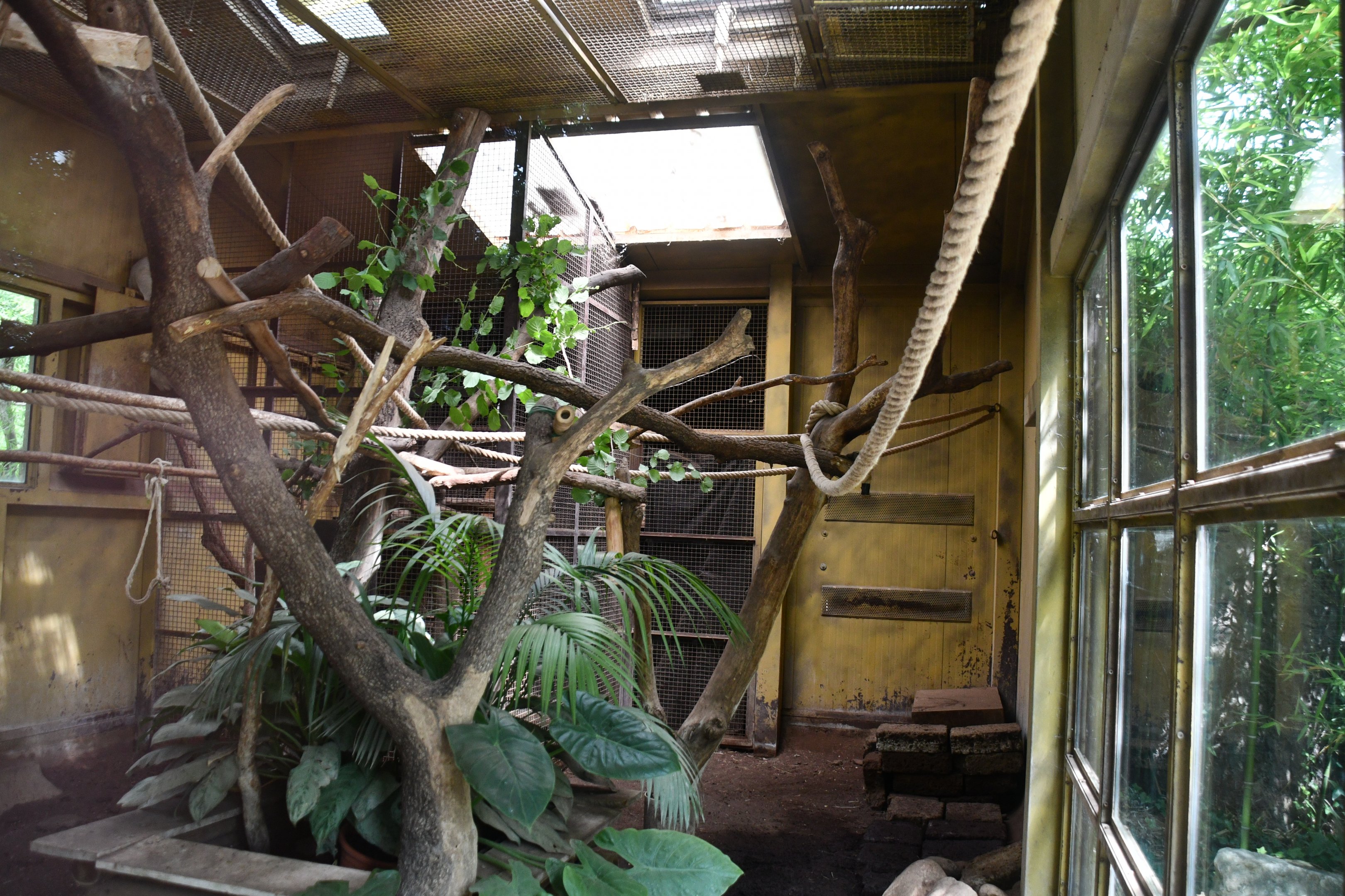 Linne's Two-toed Sloth/Large Hairy Armadillo exhibit