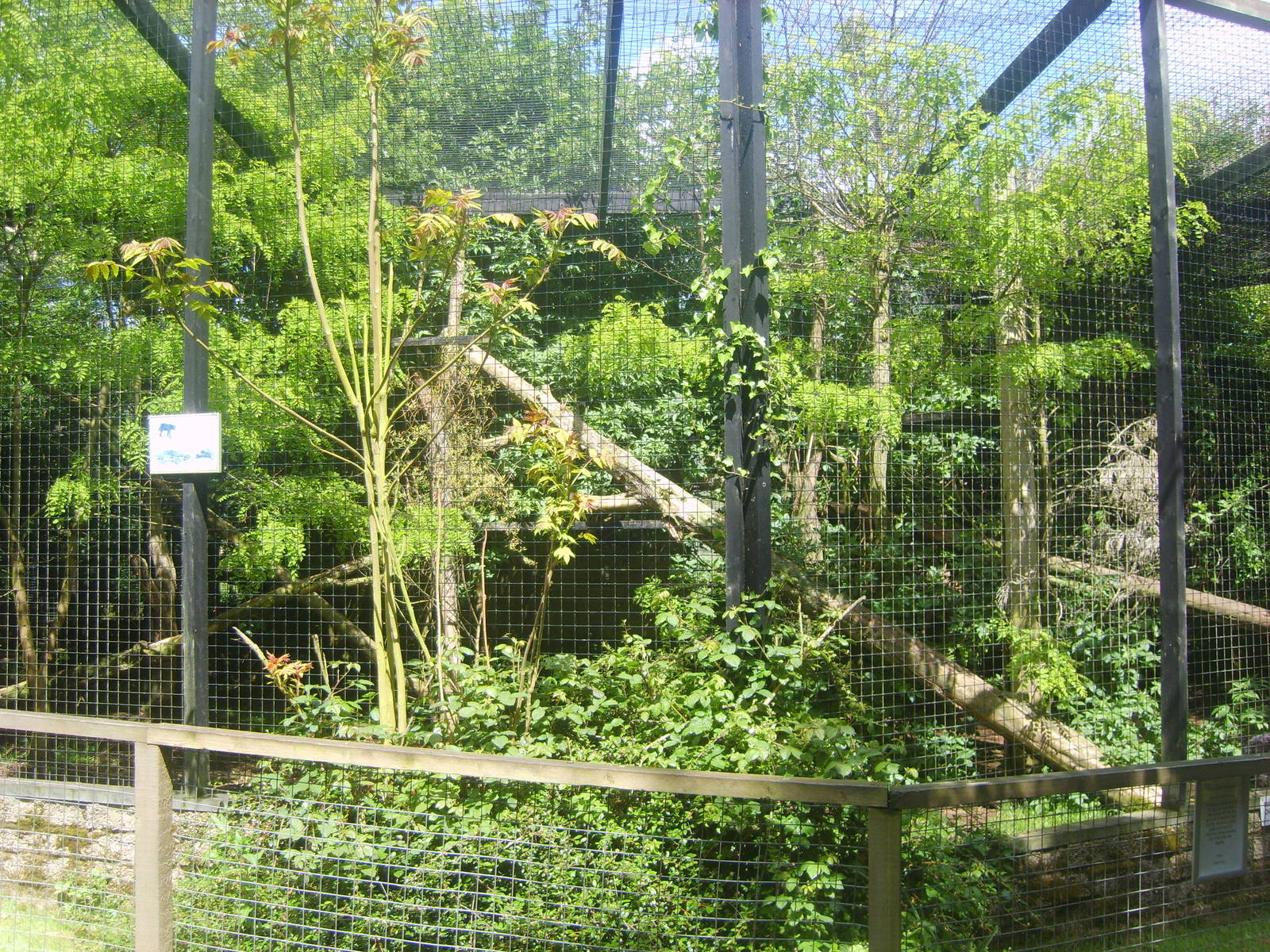 Linton Zoo Leopard Enclosure