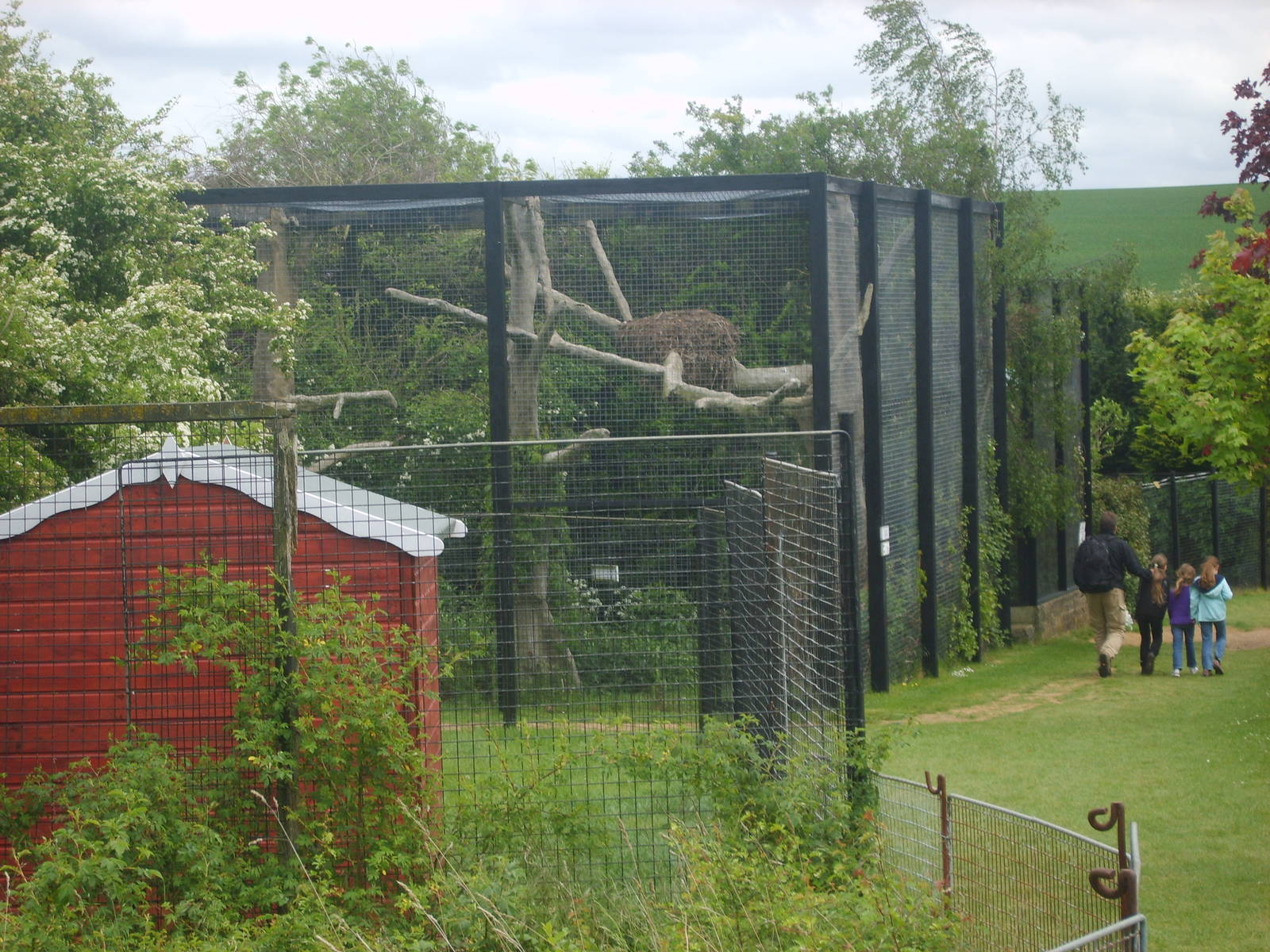 Linton Zoo Waterbirds Aviary