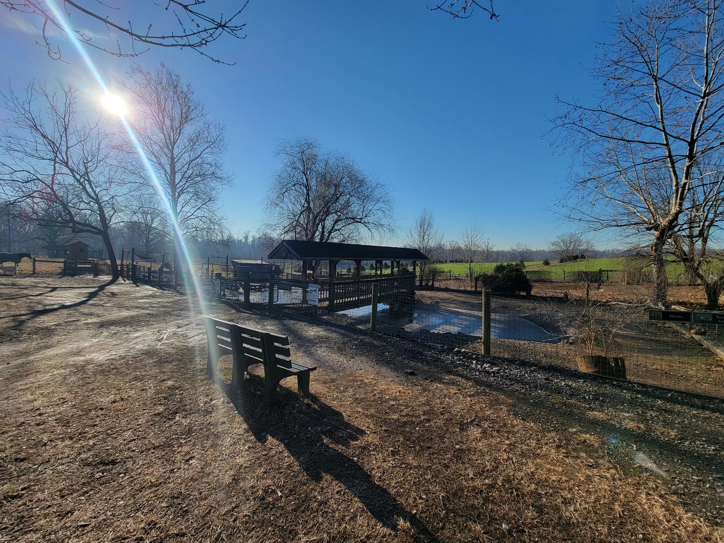 Linvilla Orchards PA - Domestic duck and goose pond