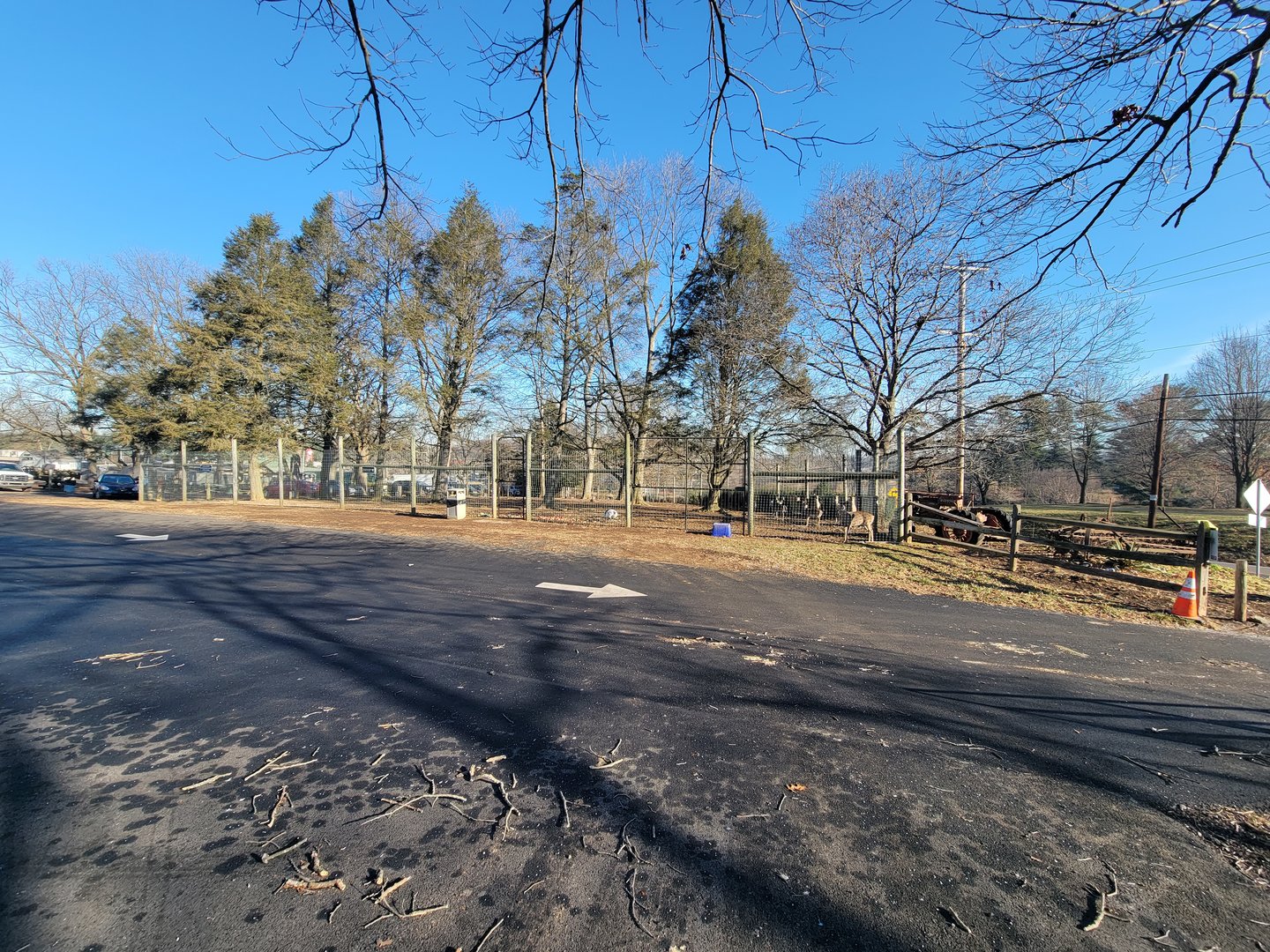 Linvilla Orchards PA - Whitetail deer pen