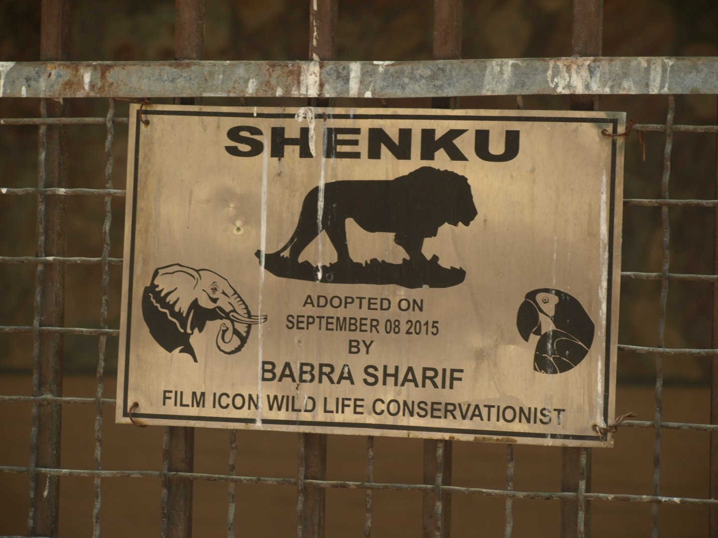 Lion adoption sign - Lahore zoo 8/4/2017