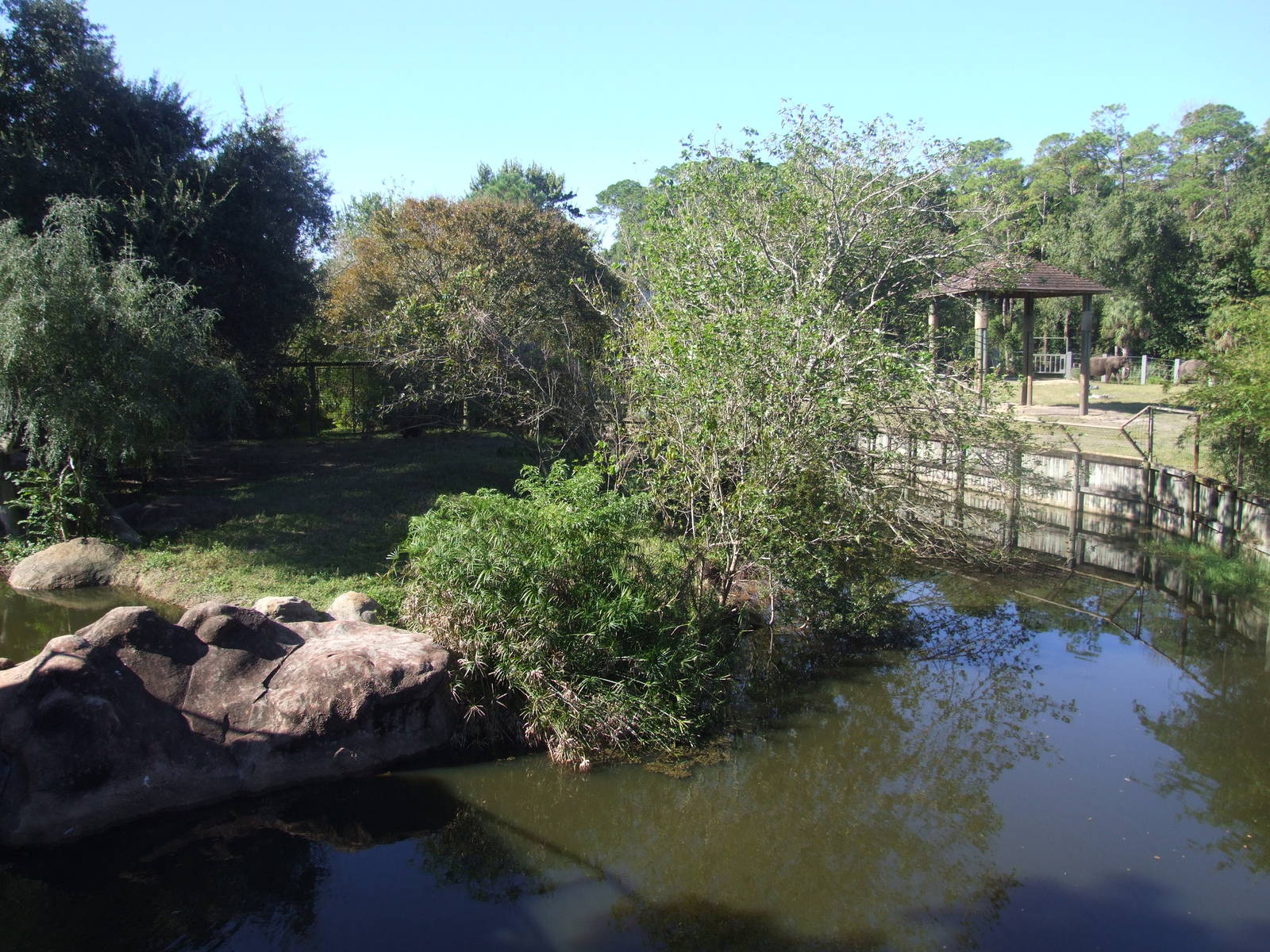 Lion and Elephant Enclosures at Jacksonville, 10/10/13