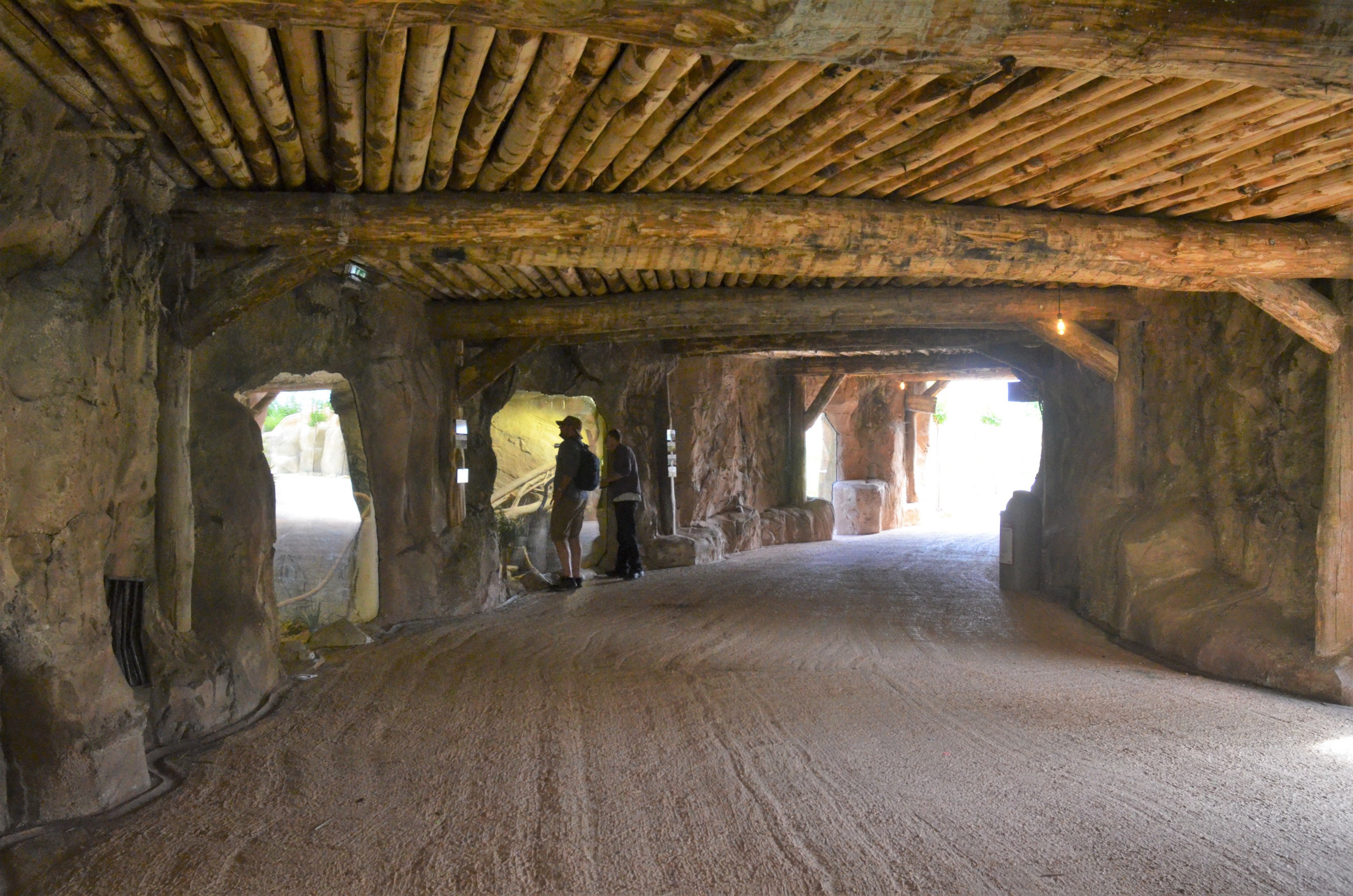Lion and Reptile Viewing at Beauval, 12/06/18