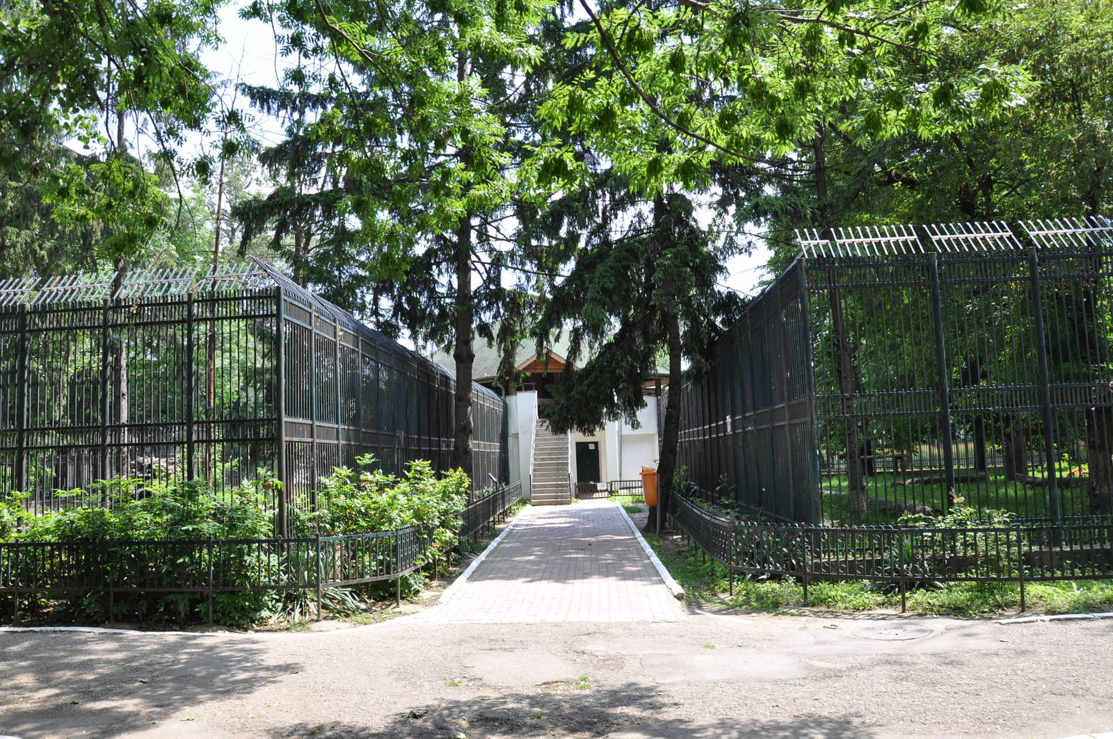 Lion and tiger enclosures