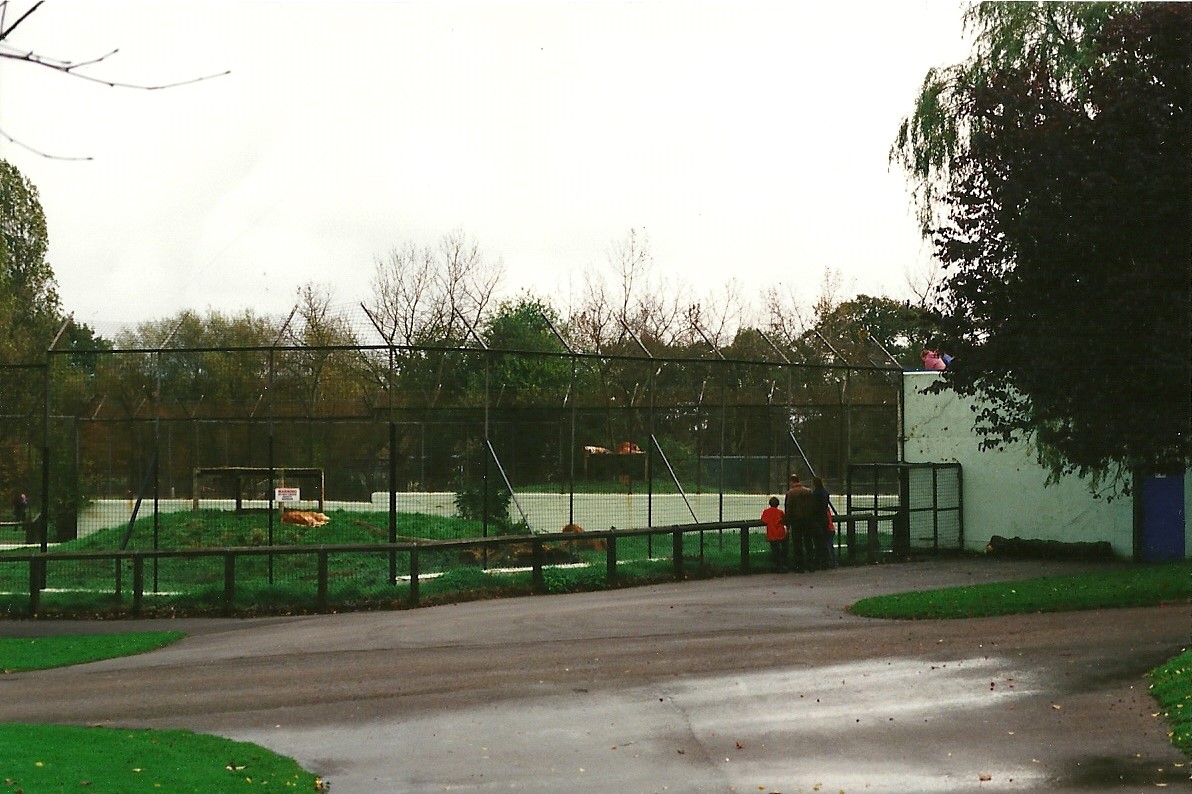 Lion and Tiger House and Lion enclosure 23rd October 1999