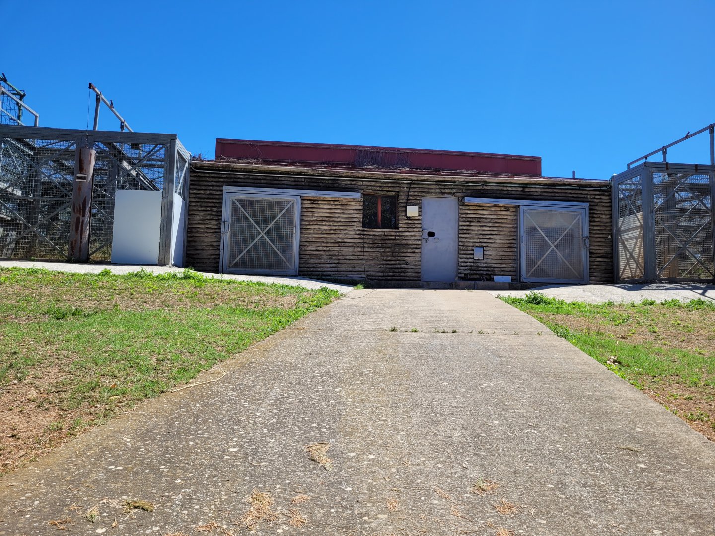 Lion and tiger house -Sendaviva (2024)