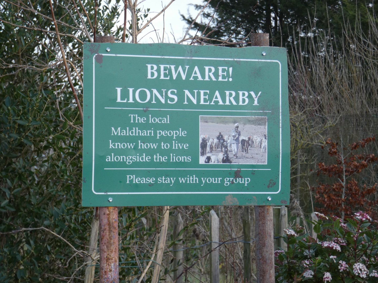 Lion area signage