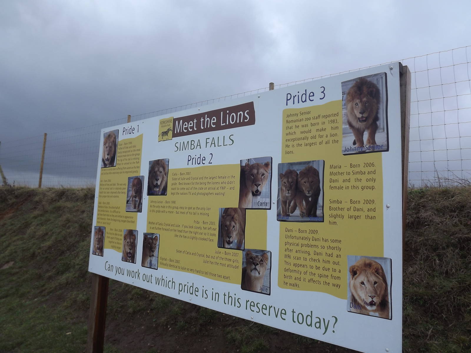 Lion board at Yorkshire Wildlife Park 18/02/12