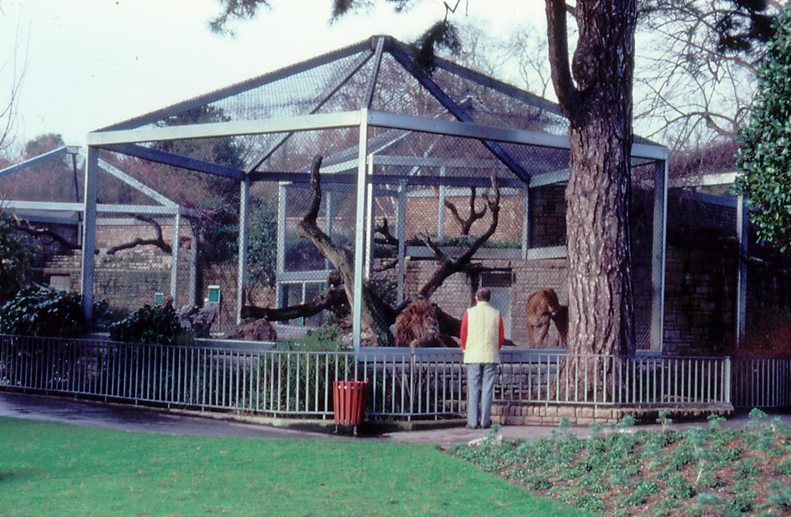 Lion Cage - 1984