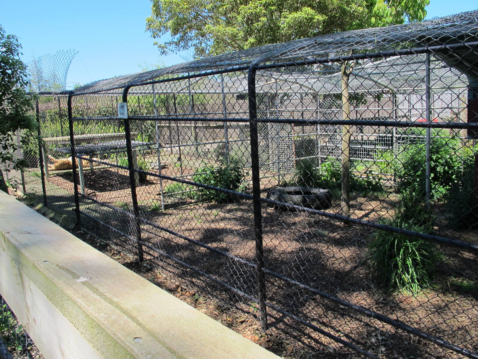 Lion Cage - Franklin Zoo