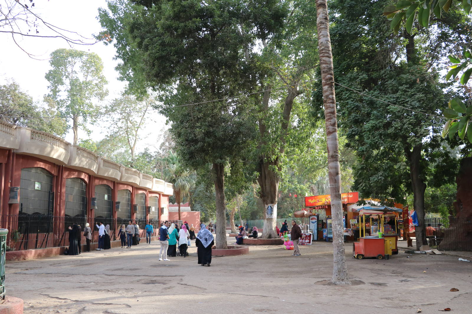 Lion cages, February 2016