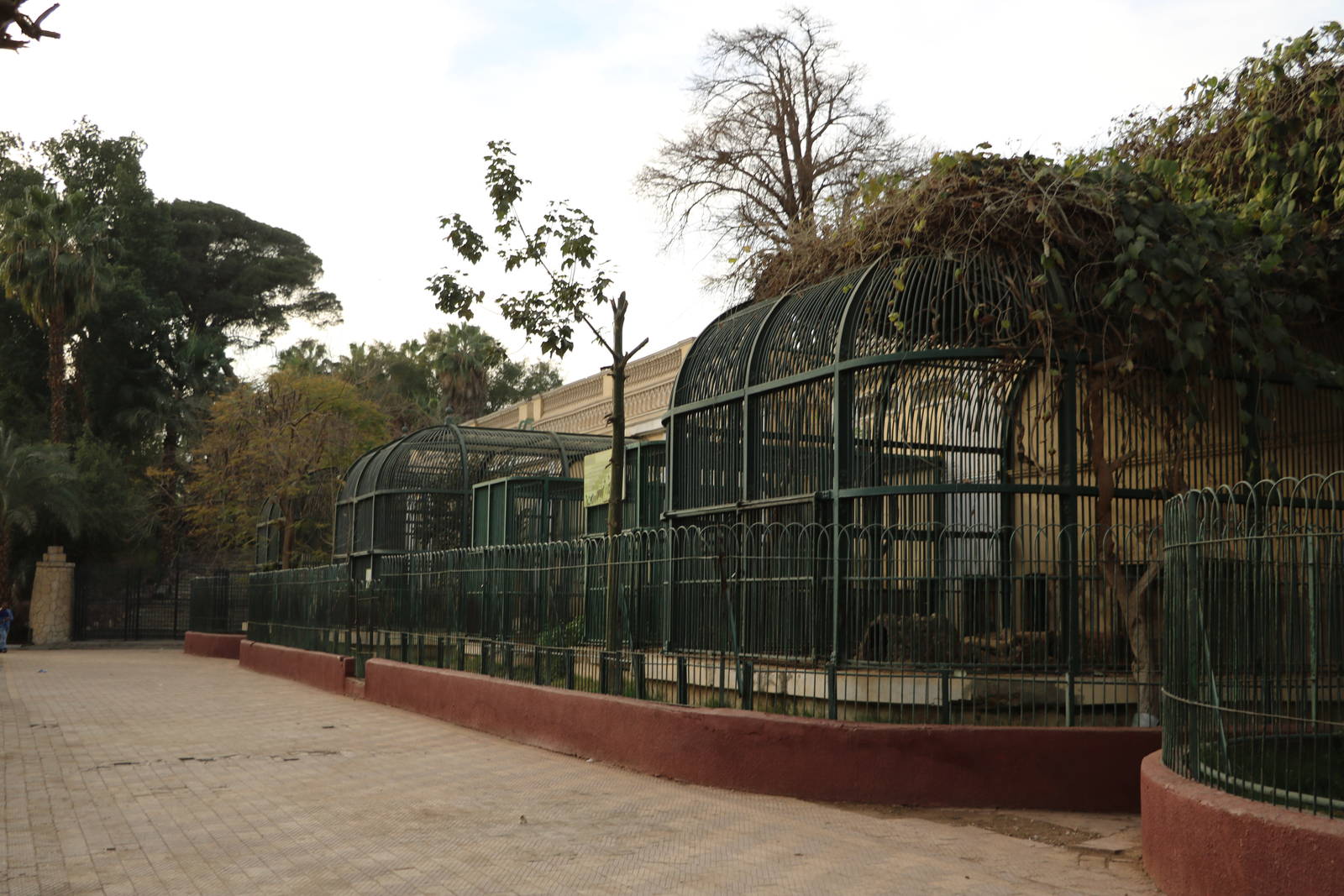 Lion cages, February 2016
