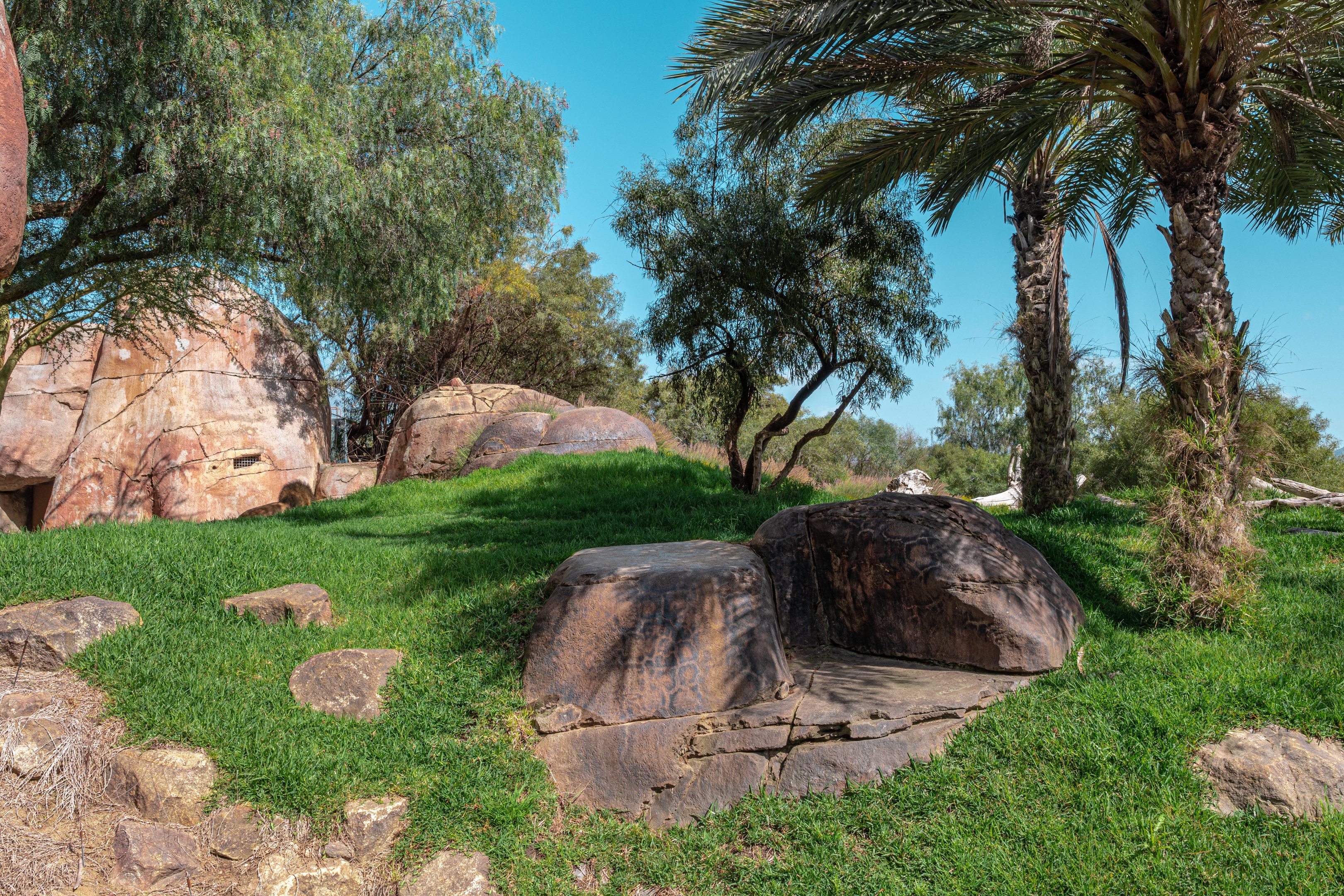 Lion Camp bridge view