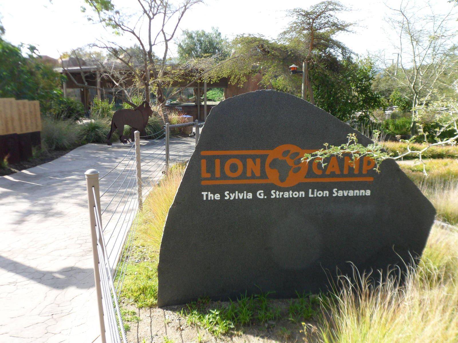 Lion Camp Entery