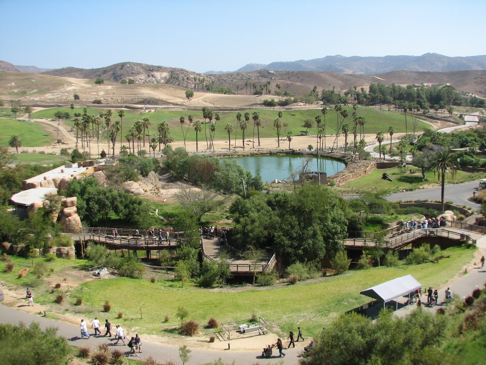 Lion Camp - Overview with Journey Into Africa in Background