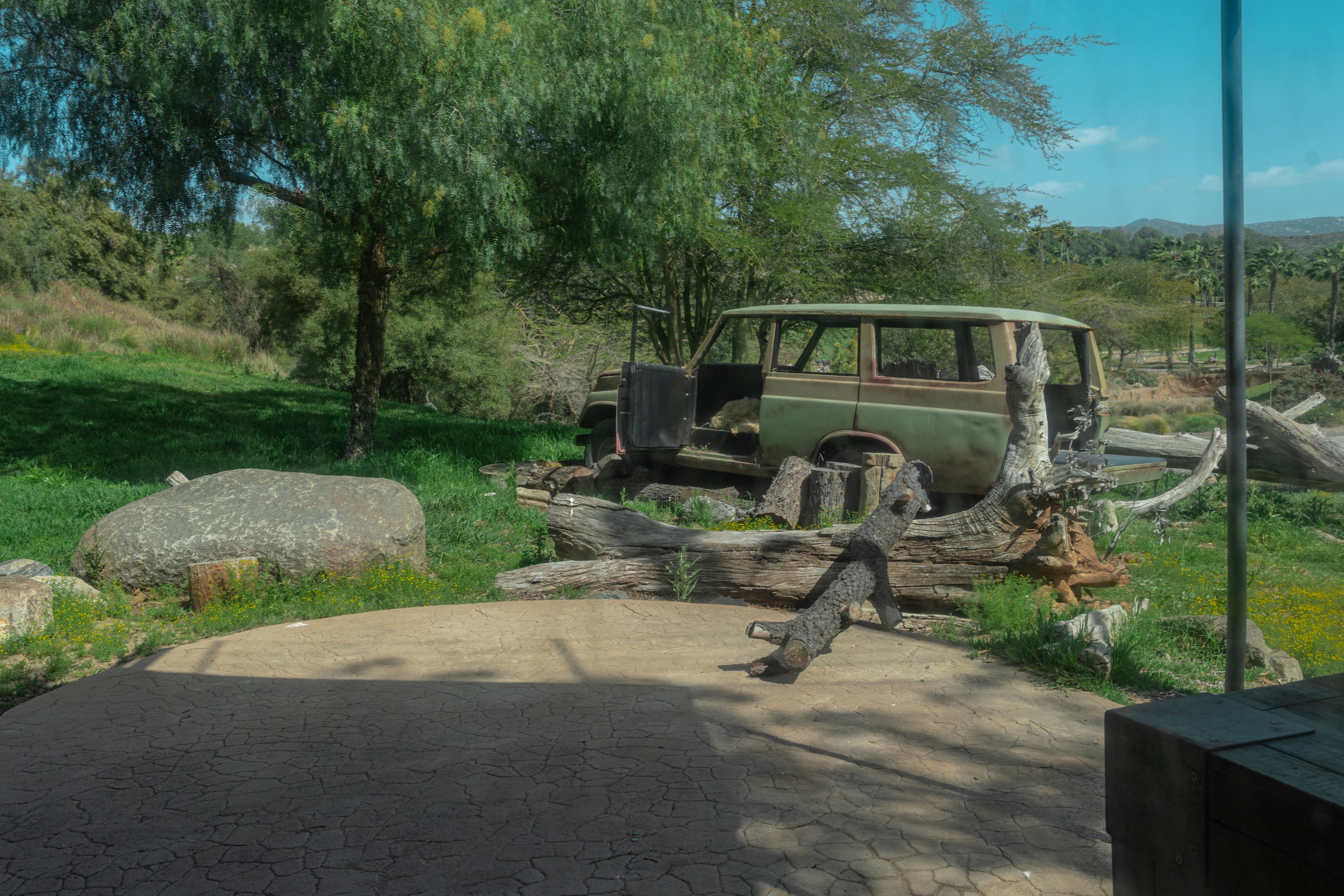 Lion Camp research tent viewing window