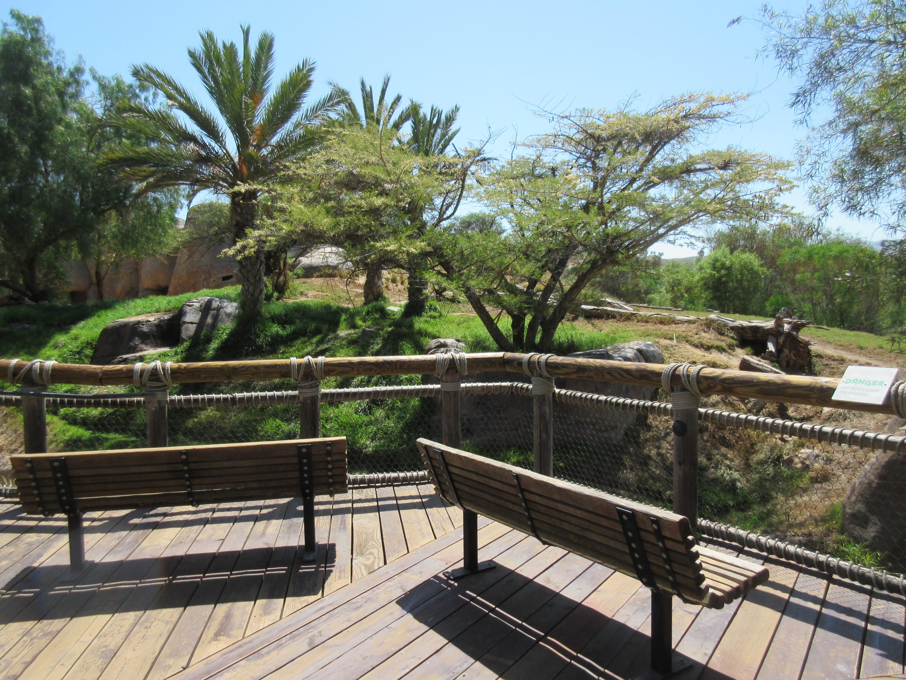 Lion Camp Viewing Area