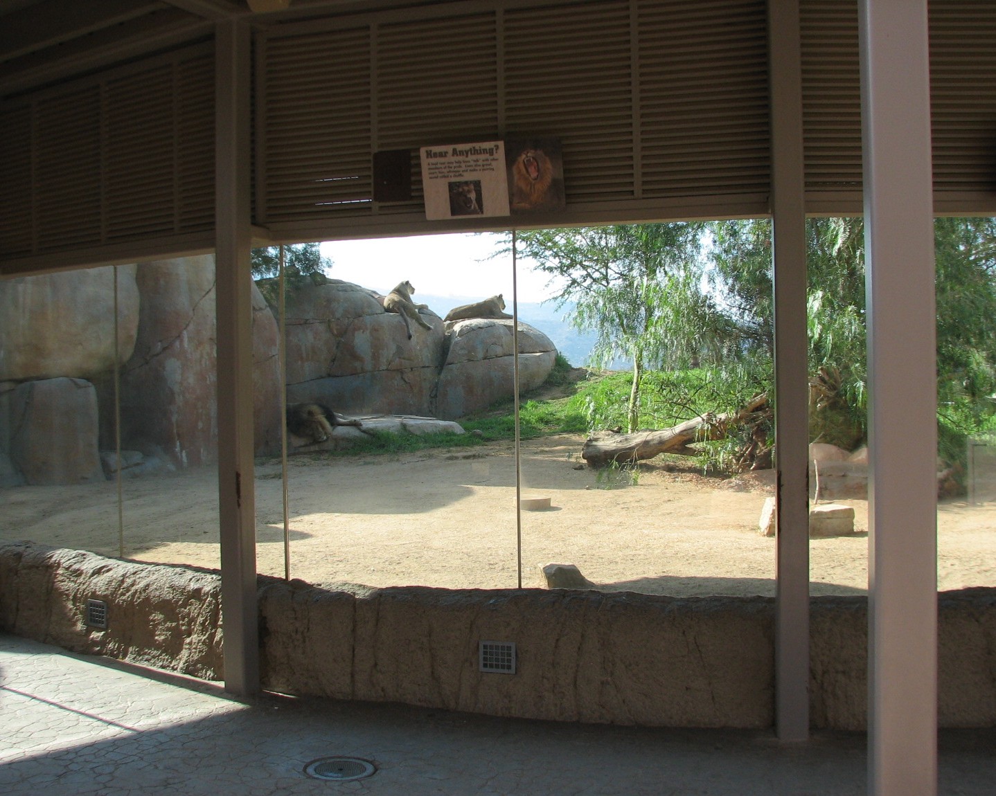 Lion Camp - Viewing Shelter