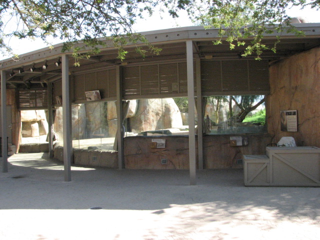 Lion Camp - Viewing Windows