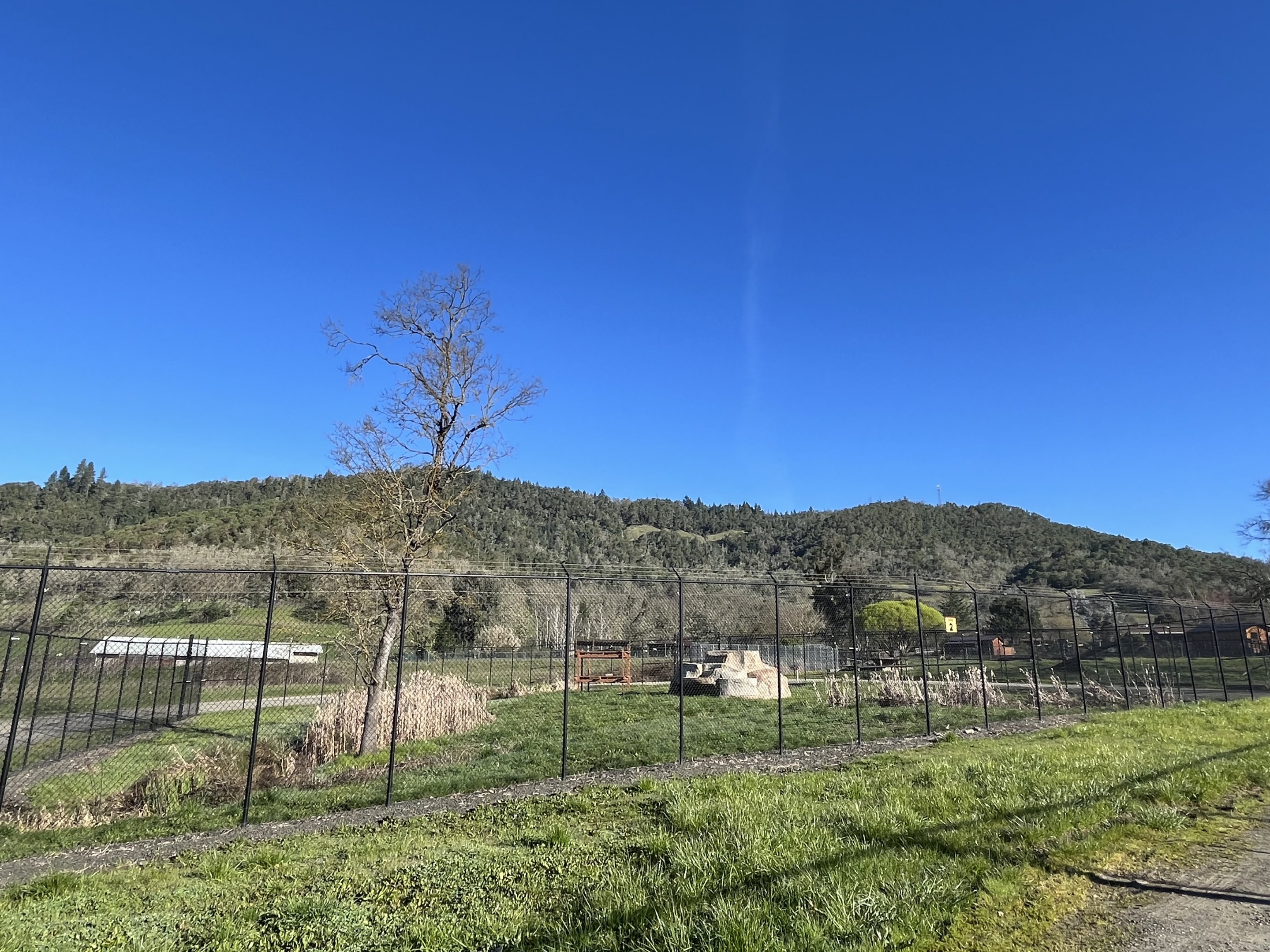 Lion Complex (1 of 4 enclosures)