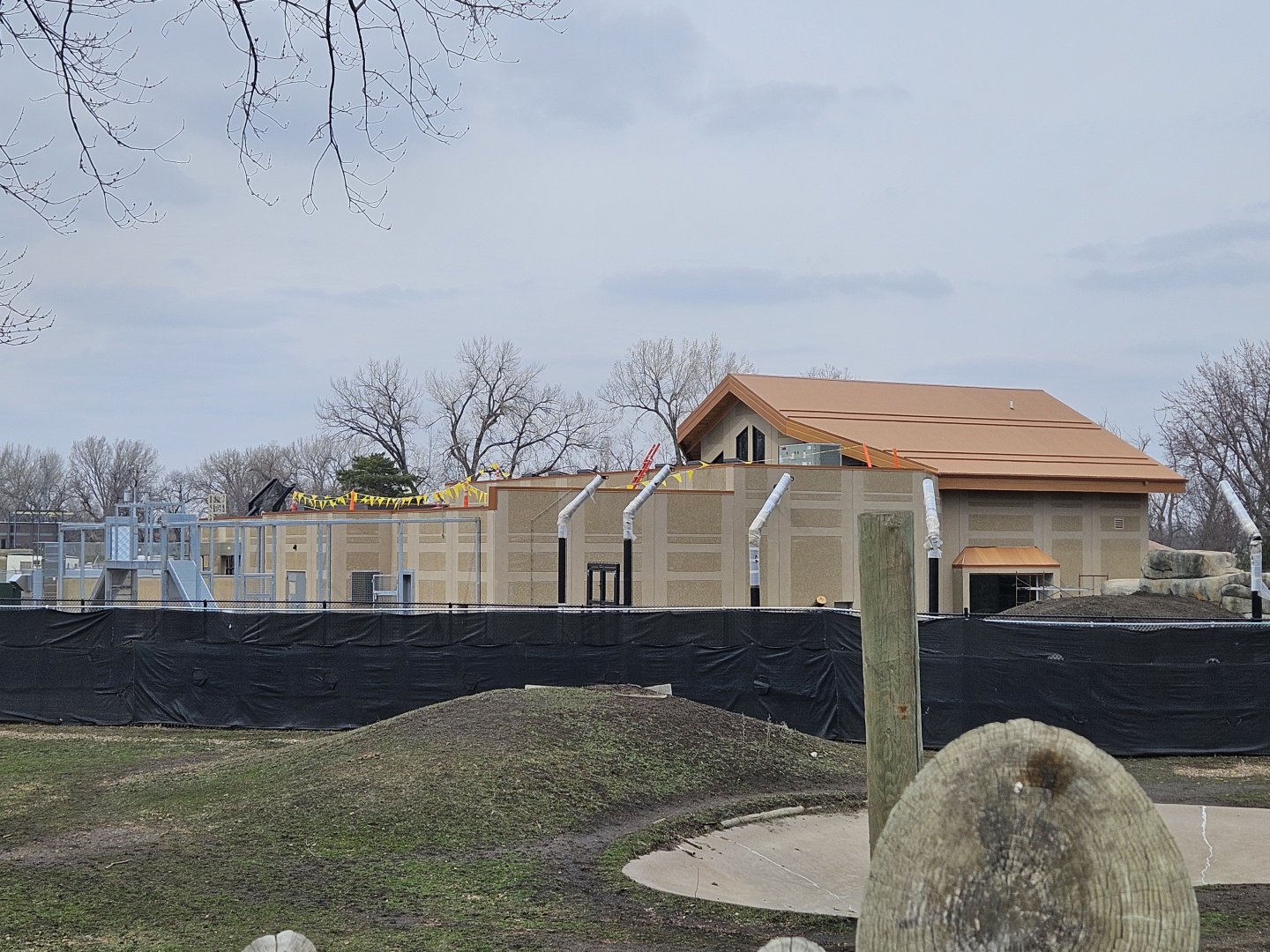 Lion Construction - March 2024