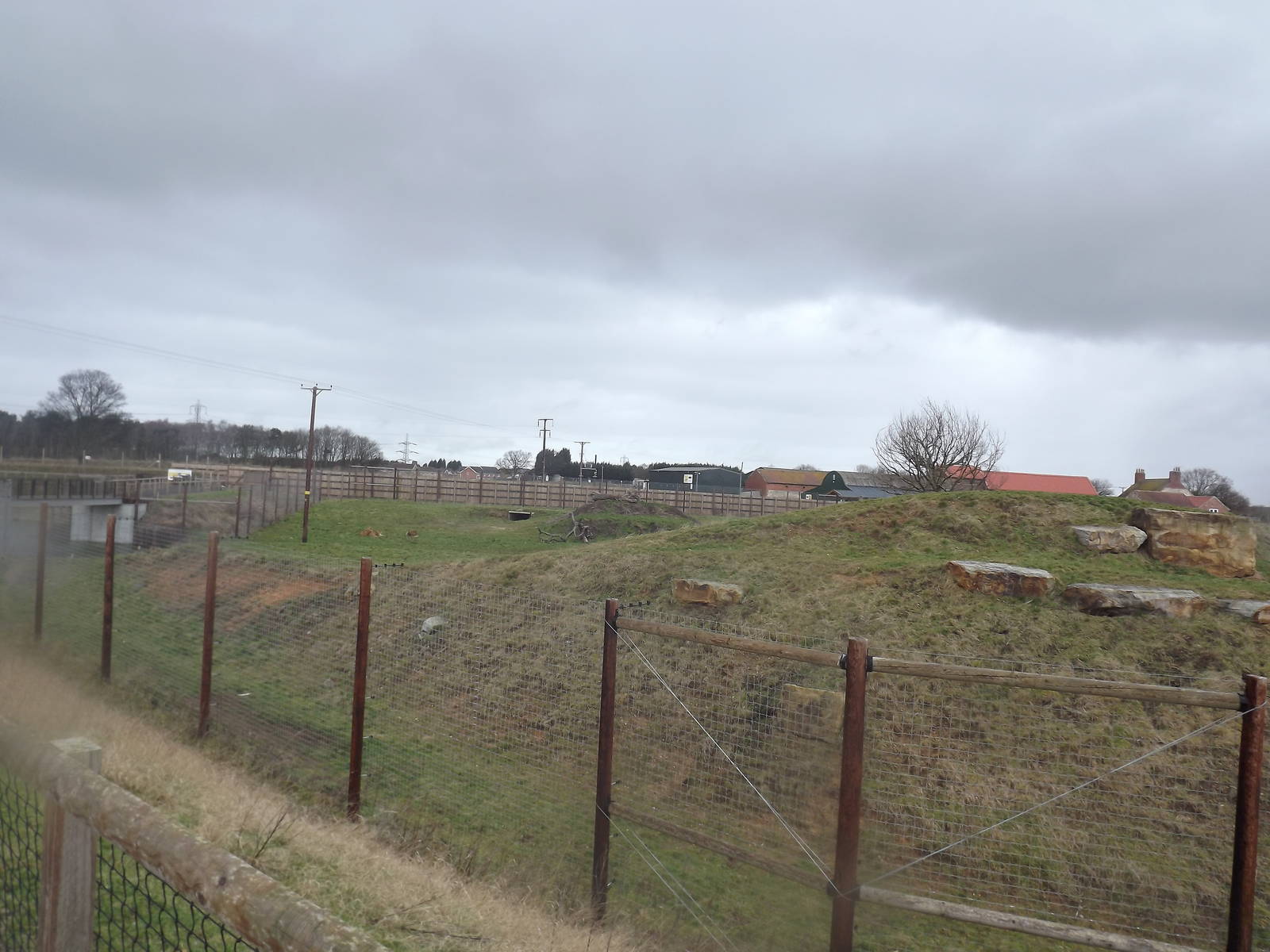 Lion Country at Yorkshire Wildlife Park 18/02/12