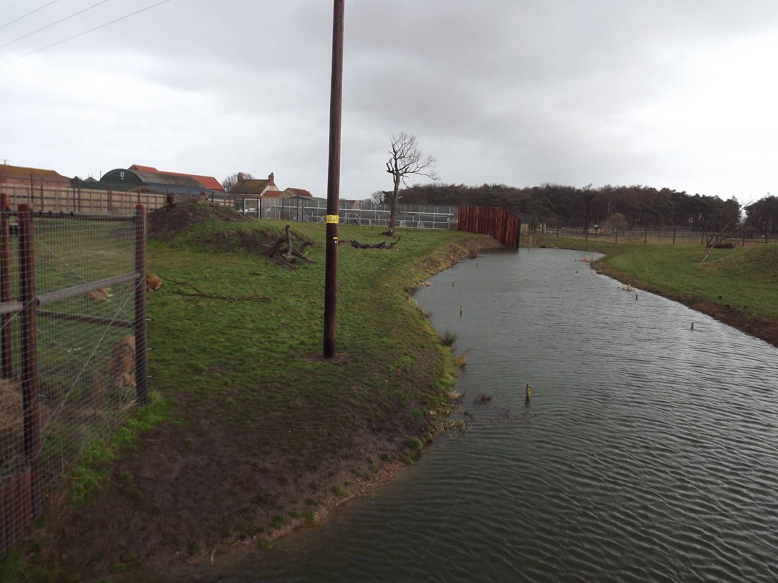Lion Country at Yorkshire Wildlife Park 18/02/12