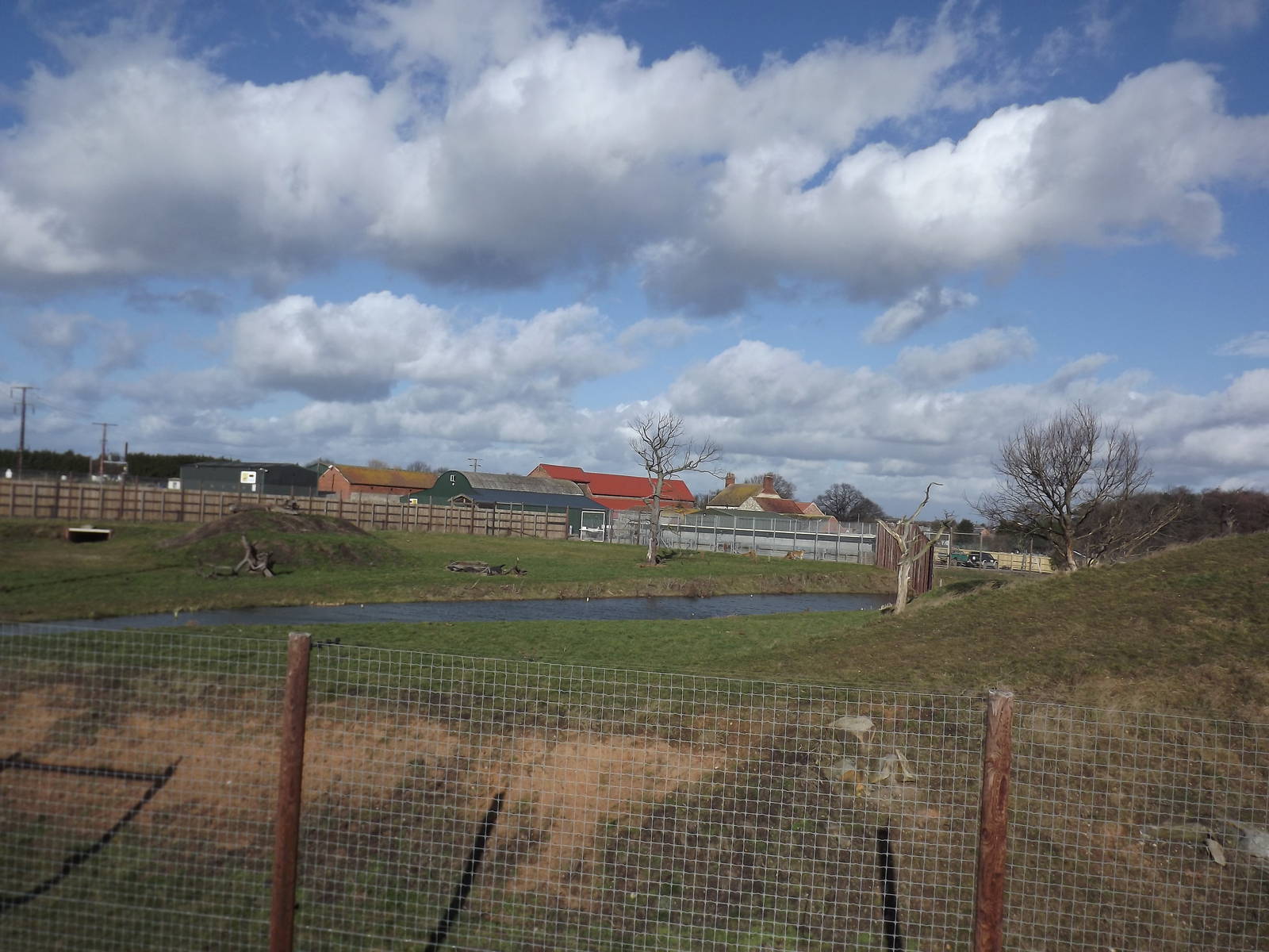 Lion Country at Yorkshire Wildlife Park 18/02/12
