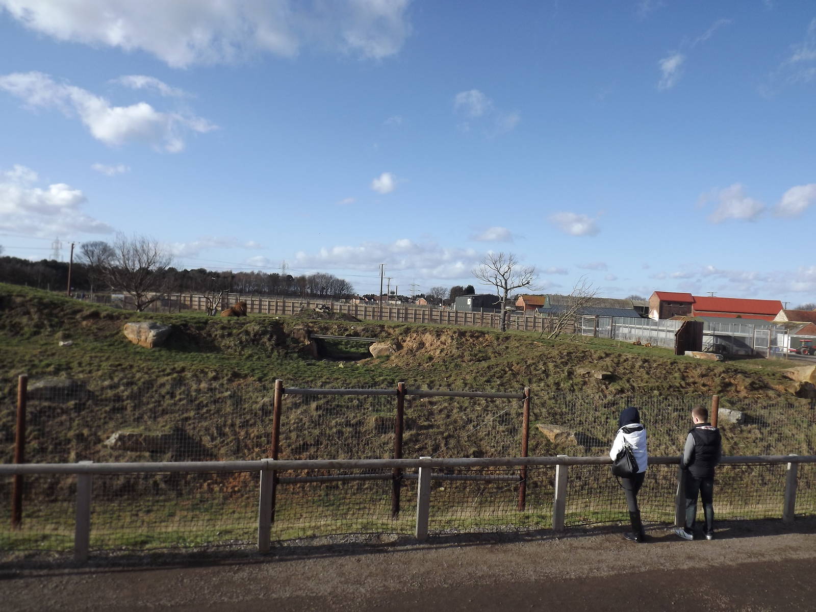Lion Country at Yorkshire Wildlife Park 18/02/12