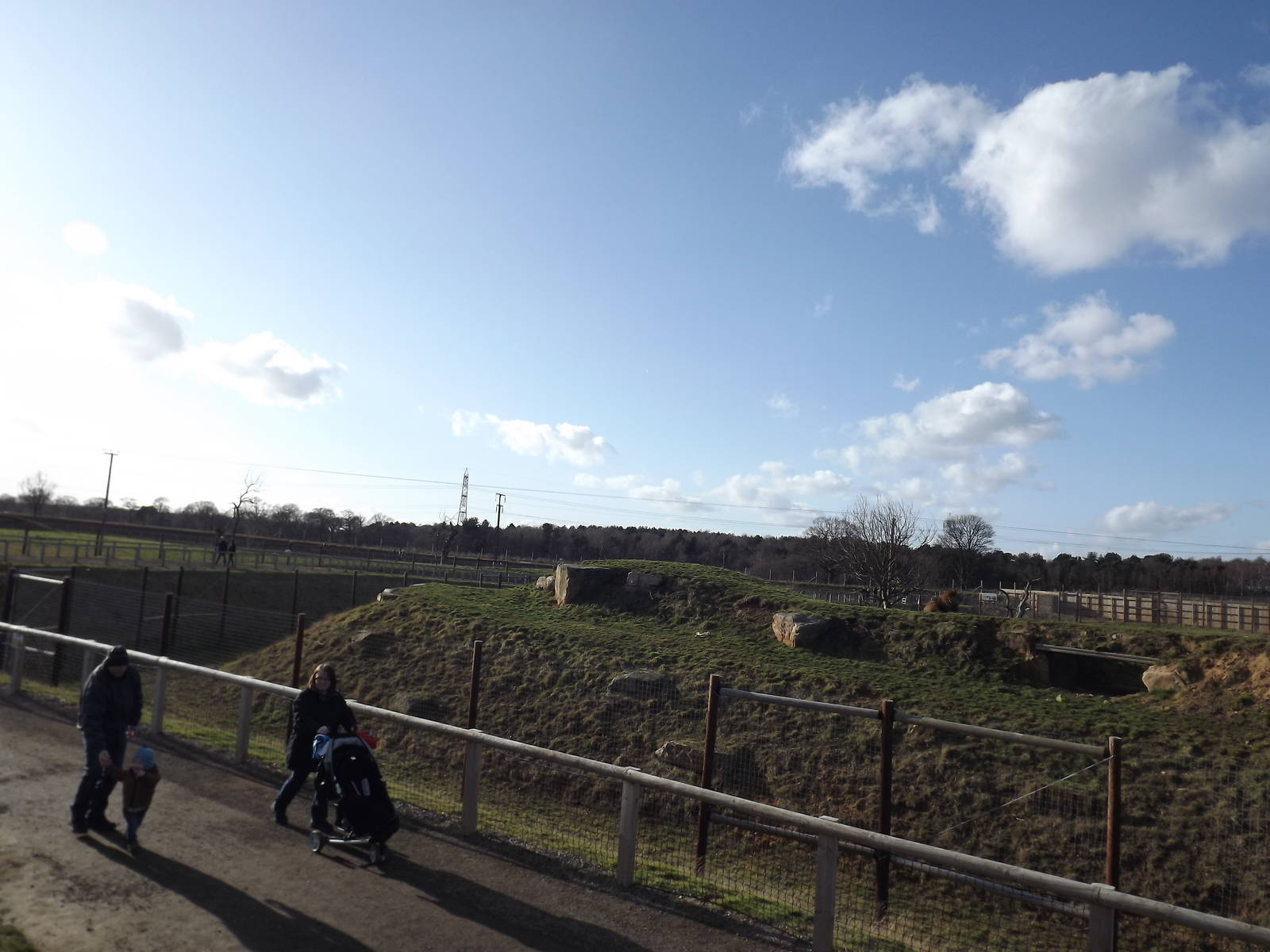 Lion Country at Yorkshire Wildlife Park 18/02/12
