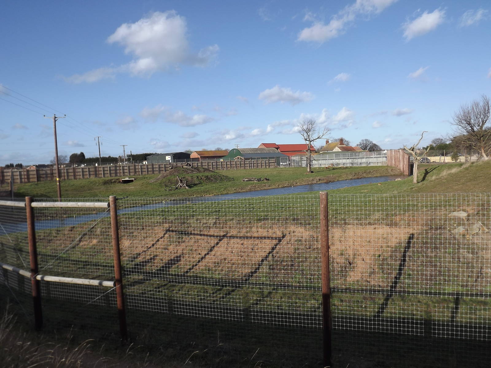Lion Country at Yorkshire Wildlife Park 18/02/12