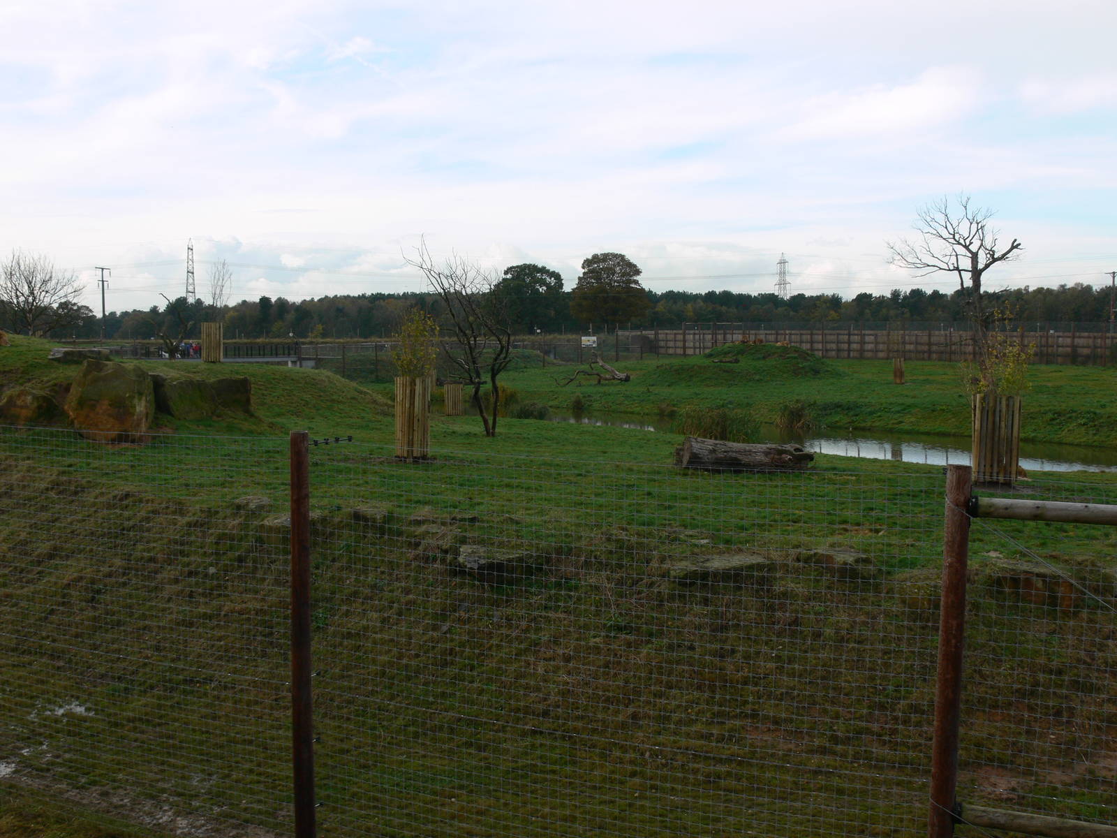 Lion Country at Yorkshire WP 01/11/12