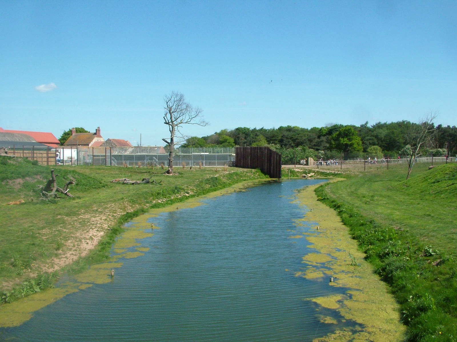Lion Country at Yorkshire WP 02/05/11