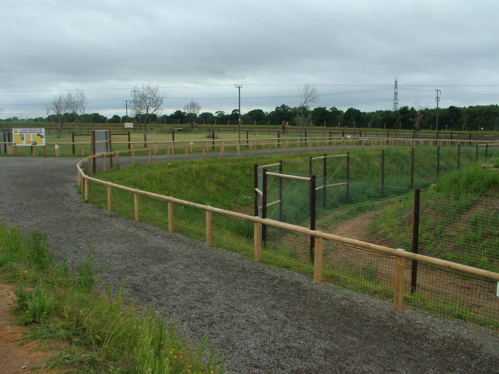 Lion Country at Yorkshire WP, 18/07/10