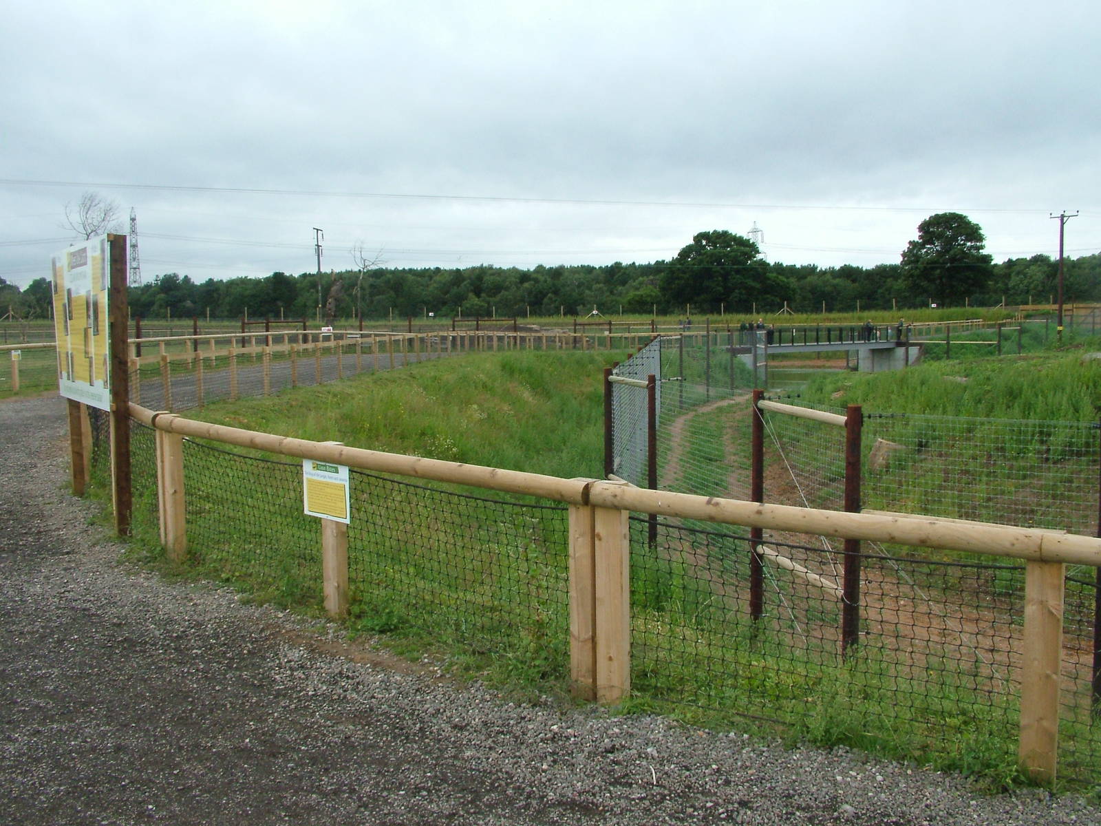 Lion Country at Yorkshire WP, 18/07/10