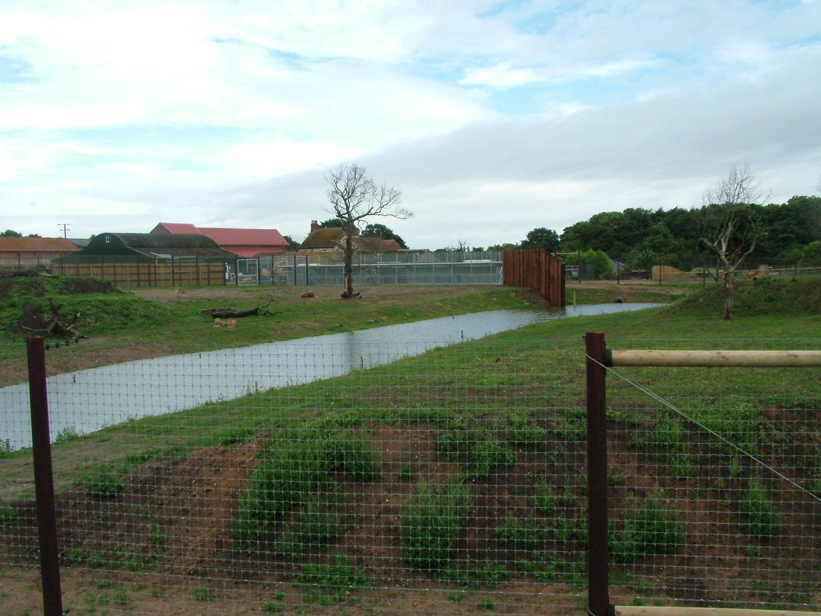 Lion Country at Yorkshire WP, 18/07/10