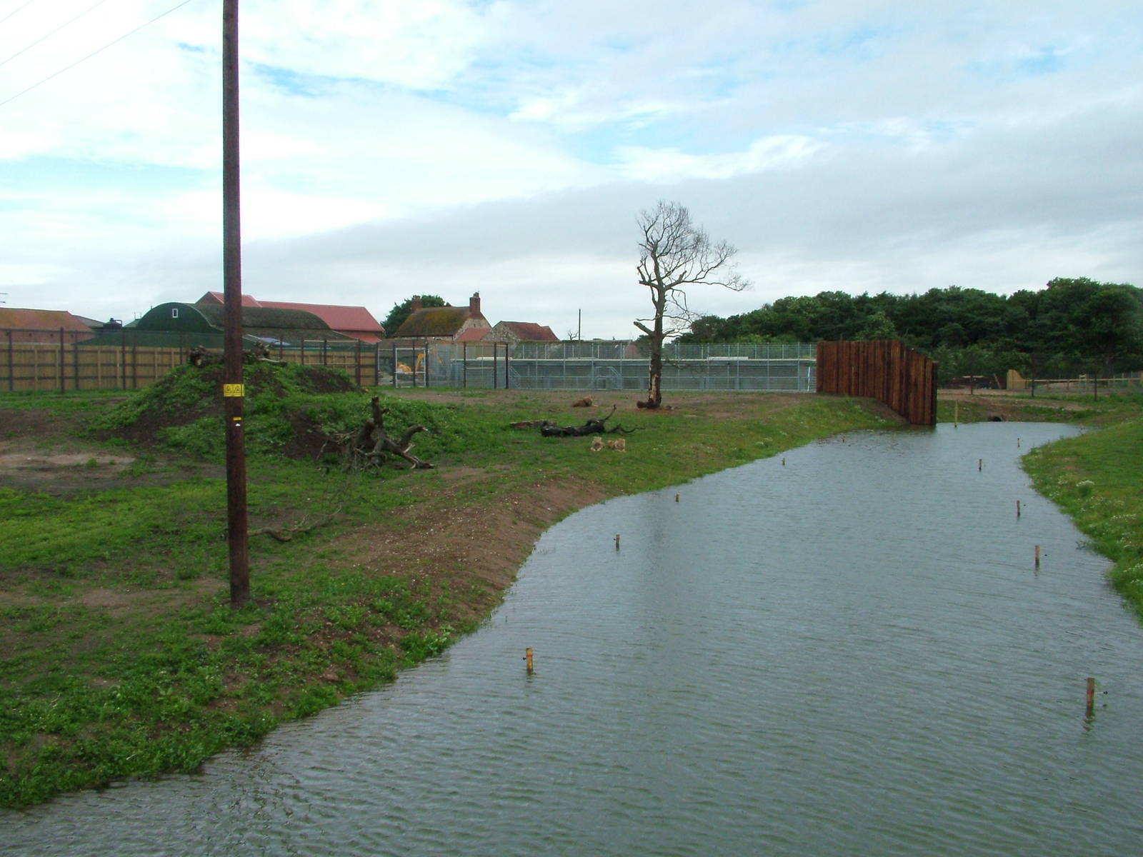 Lion Country at Yorkshire WP, 18/07/10