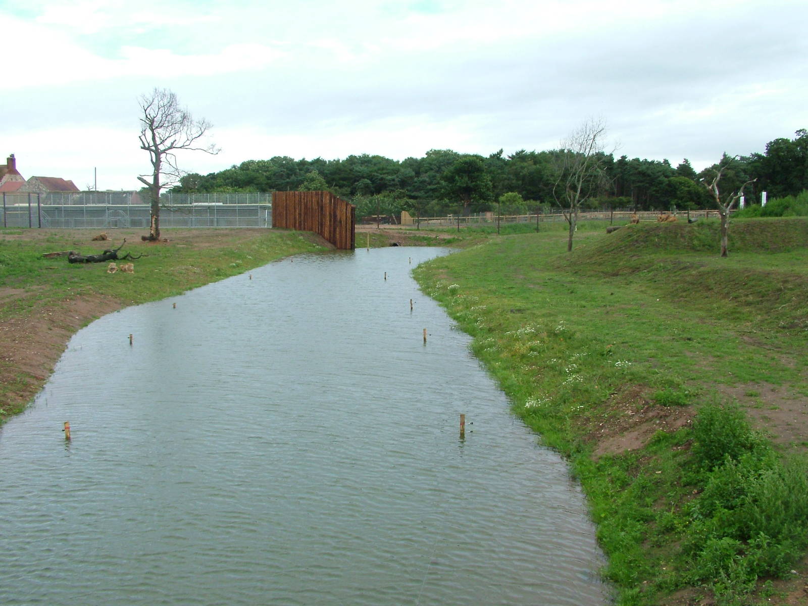 Lion Country at Yorkshire WP, 18/07/10