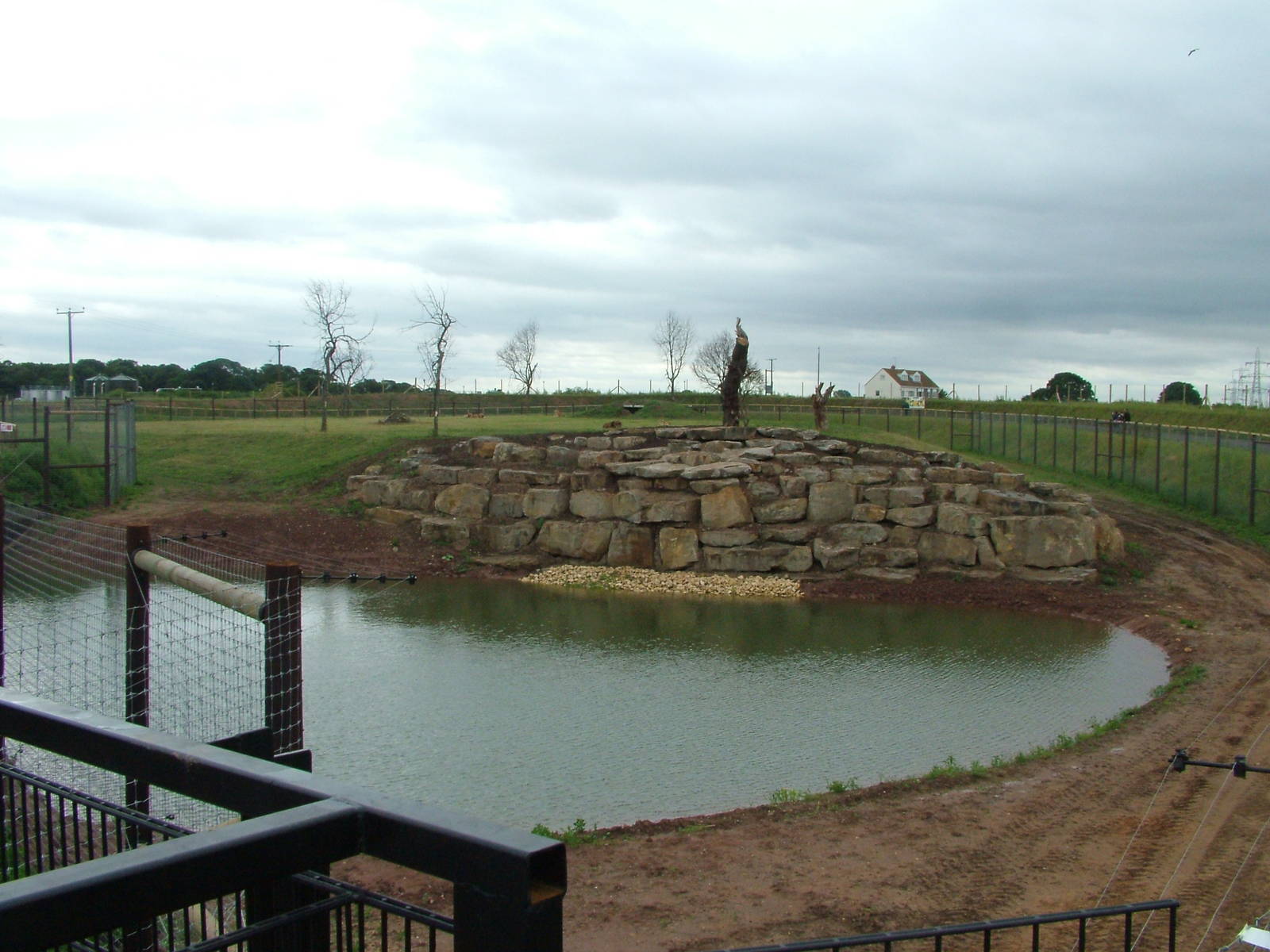 Lion Country at Yorkshire WP, 18/07/10