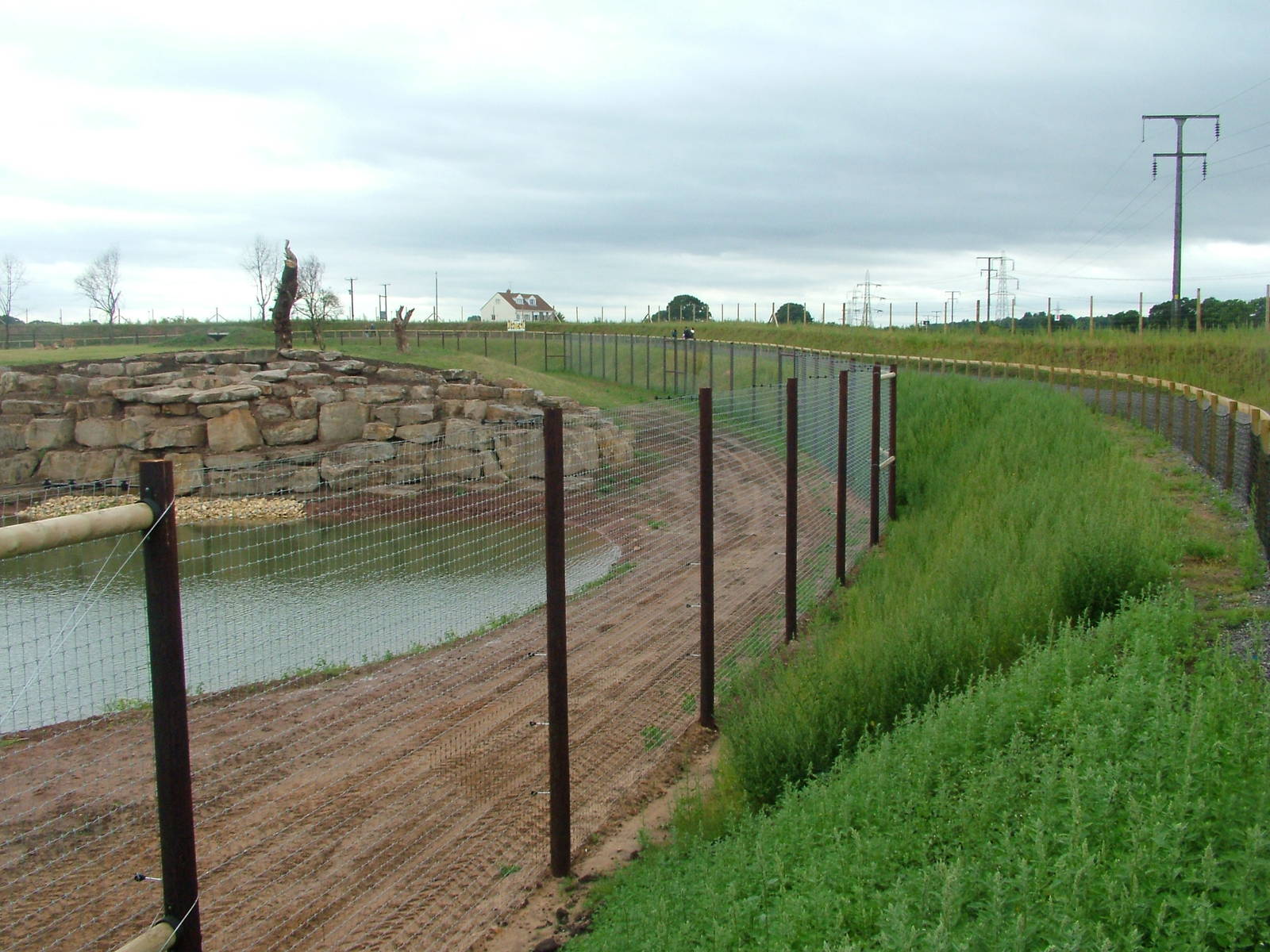 Lion Country at Yorkshire WP, 18/07/10