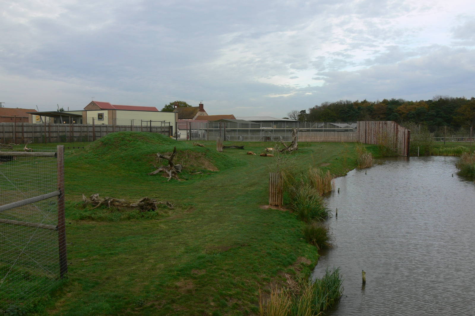 Lion Country at Yorkshire WP, 28/10/14